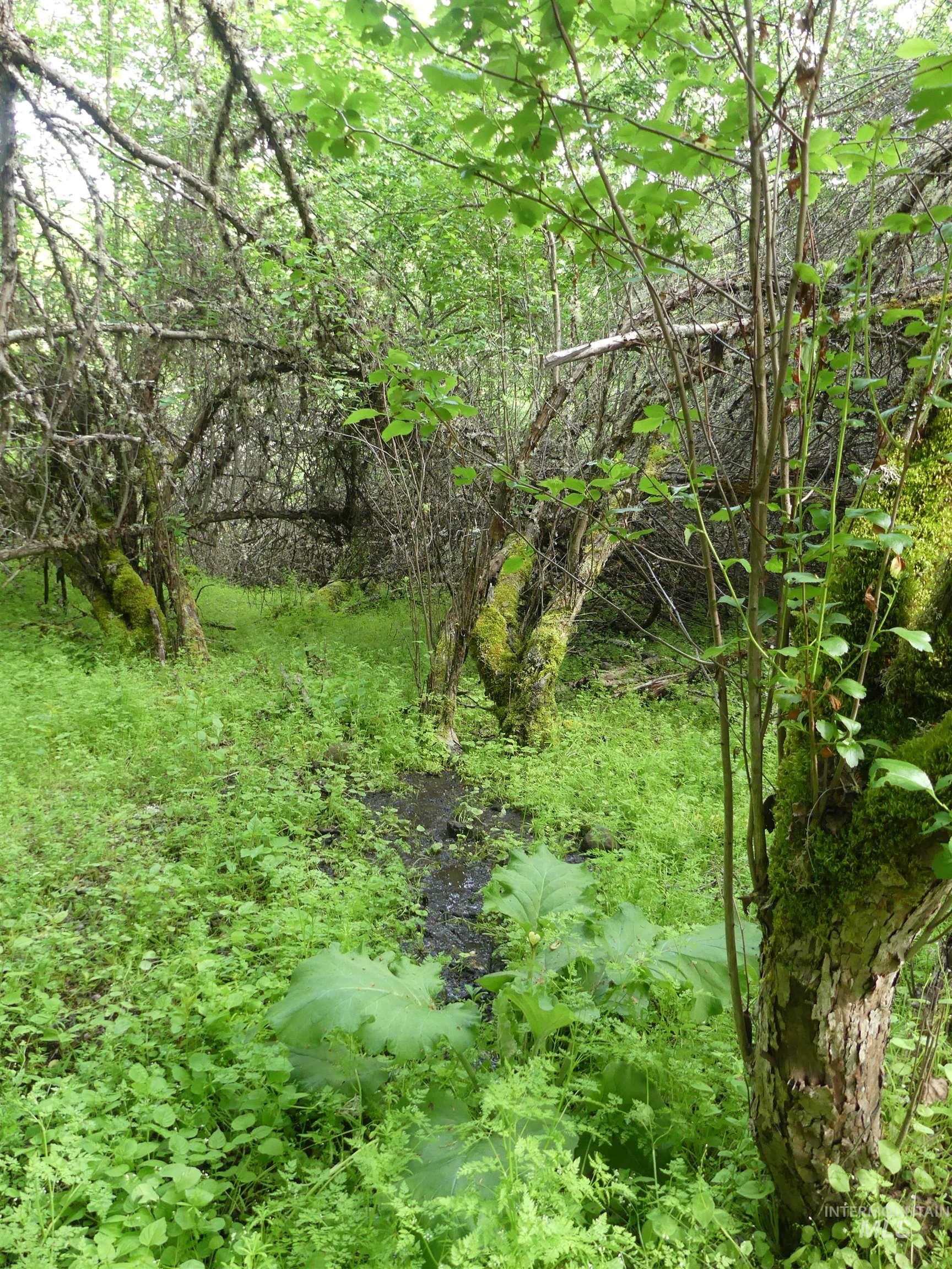 30100 Triumph, Culdesac, Idaho 83524, Land For Sale, Price $199,000, 98986867