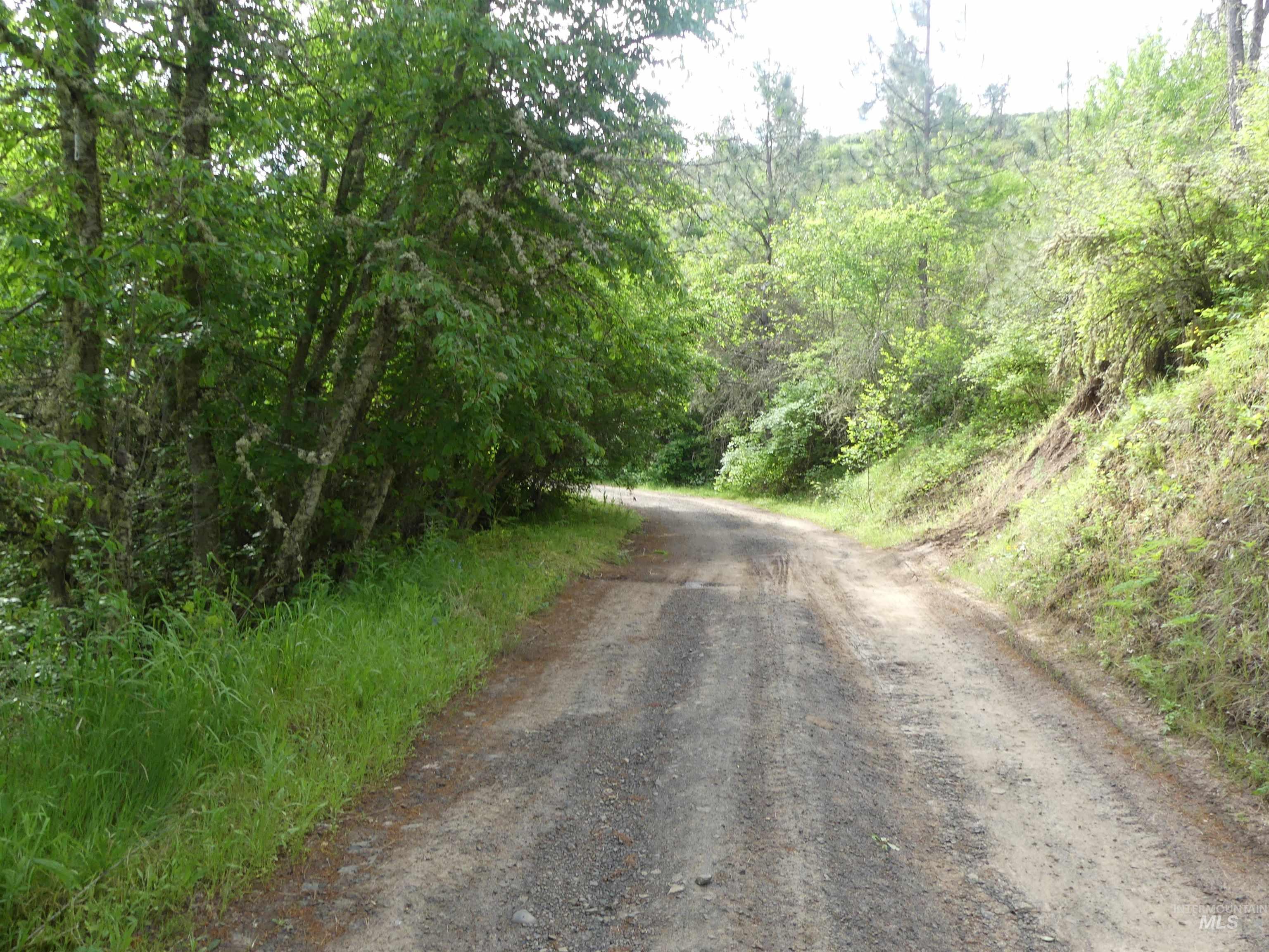 30100 Triumph, Culdesac, Idaho 83524, Land For Sale, Price $199,000, 98986867
