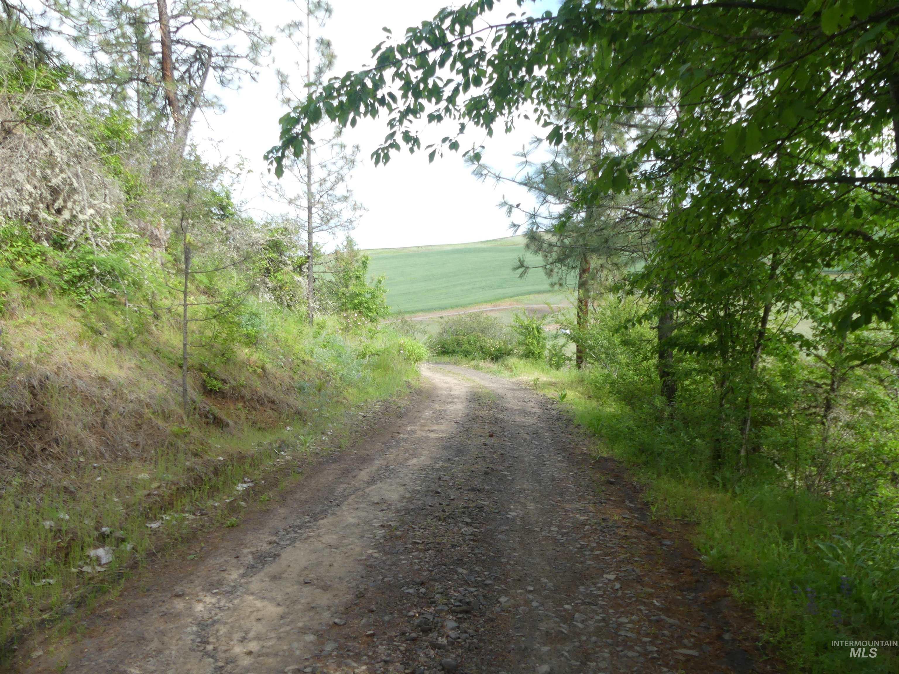30100 Triumph, Culdesac, Idaho 83524, Land For Sale, Price $199,000, 98986867