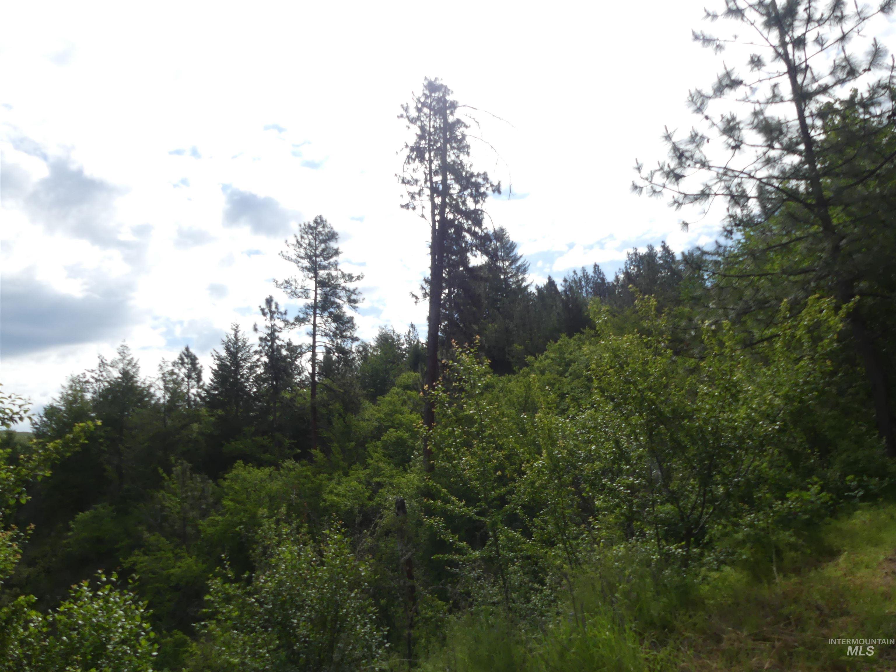 30100 Triumph, Culdesac, Idaho 83524, Land For Sale, Price $199,000, 98986867