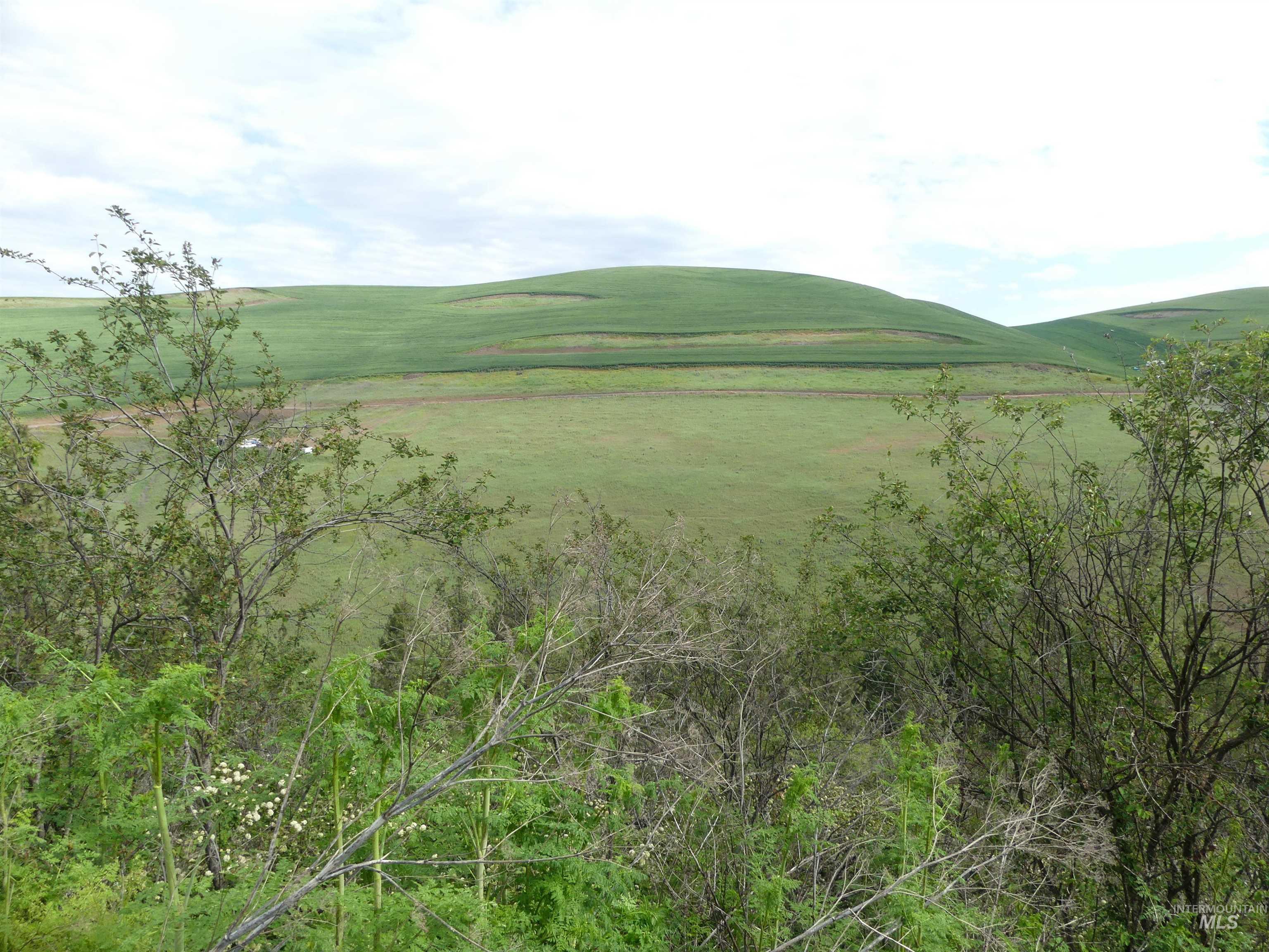30100 Triumph, Culdesac, Idaho 83524, Land For Sale, Price $199,000, 98986867