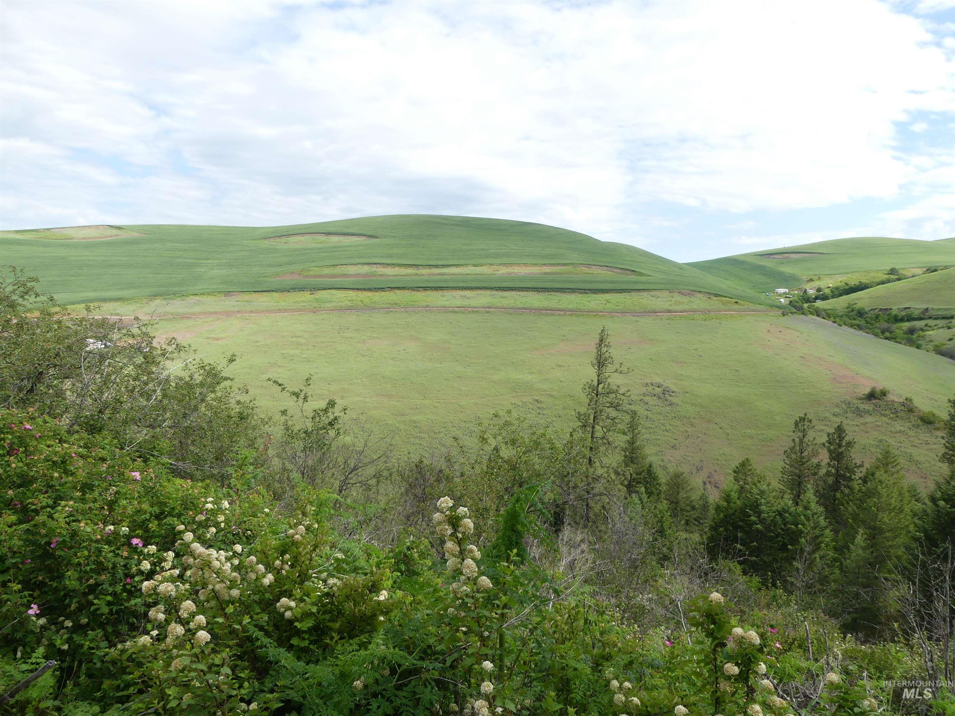 30100 Triumph, Culdesac, Idaho 83524, Land For Sale, Price $199,000, 98986867