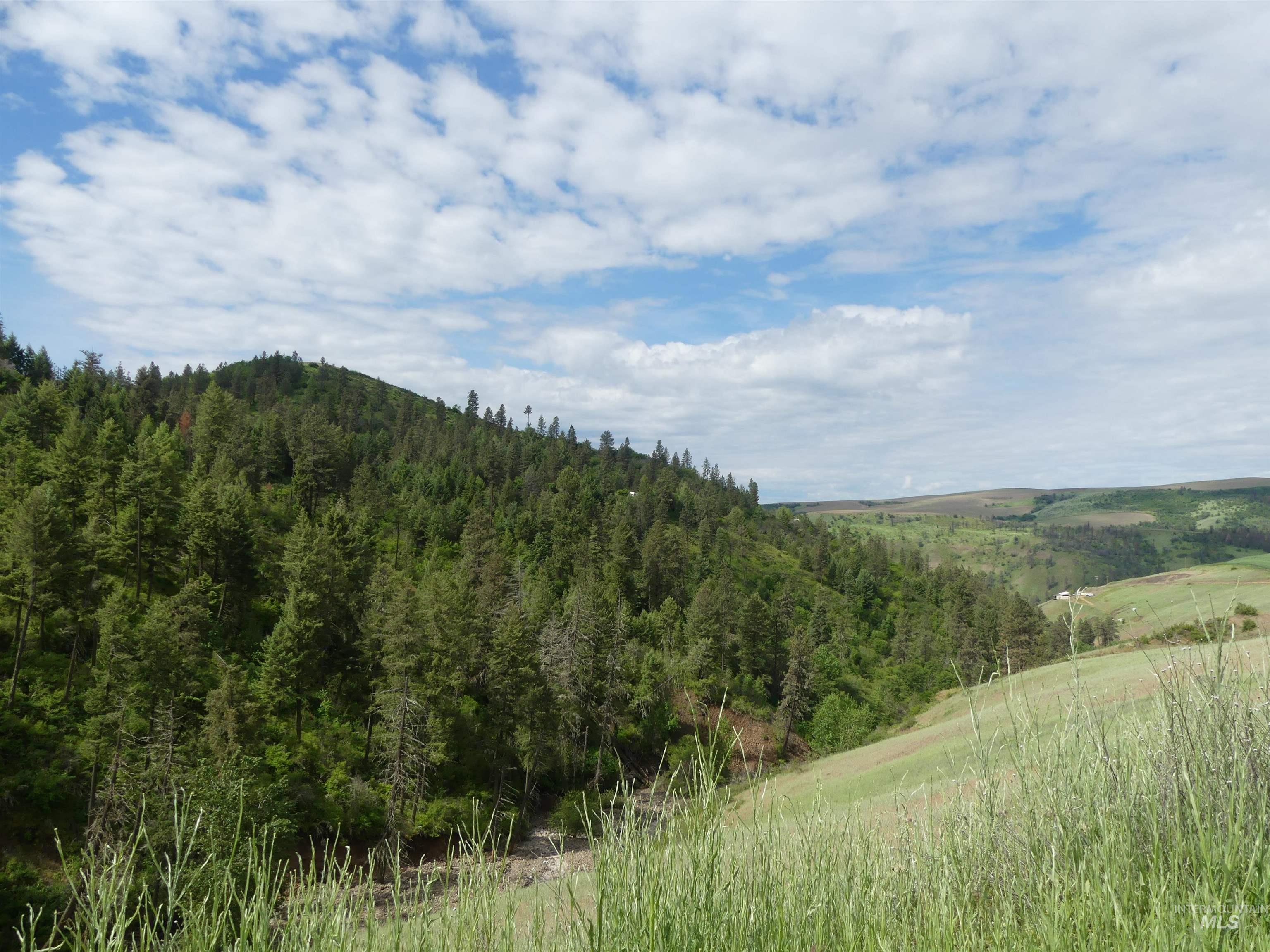30100 Triumph, Culdesac, Idaho 83524, Land For Sale, Price $199,000, 98986867
