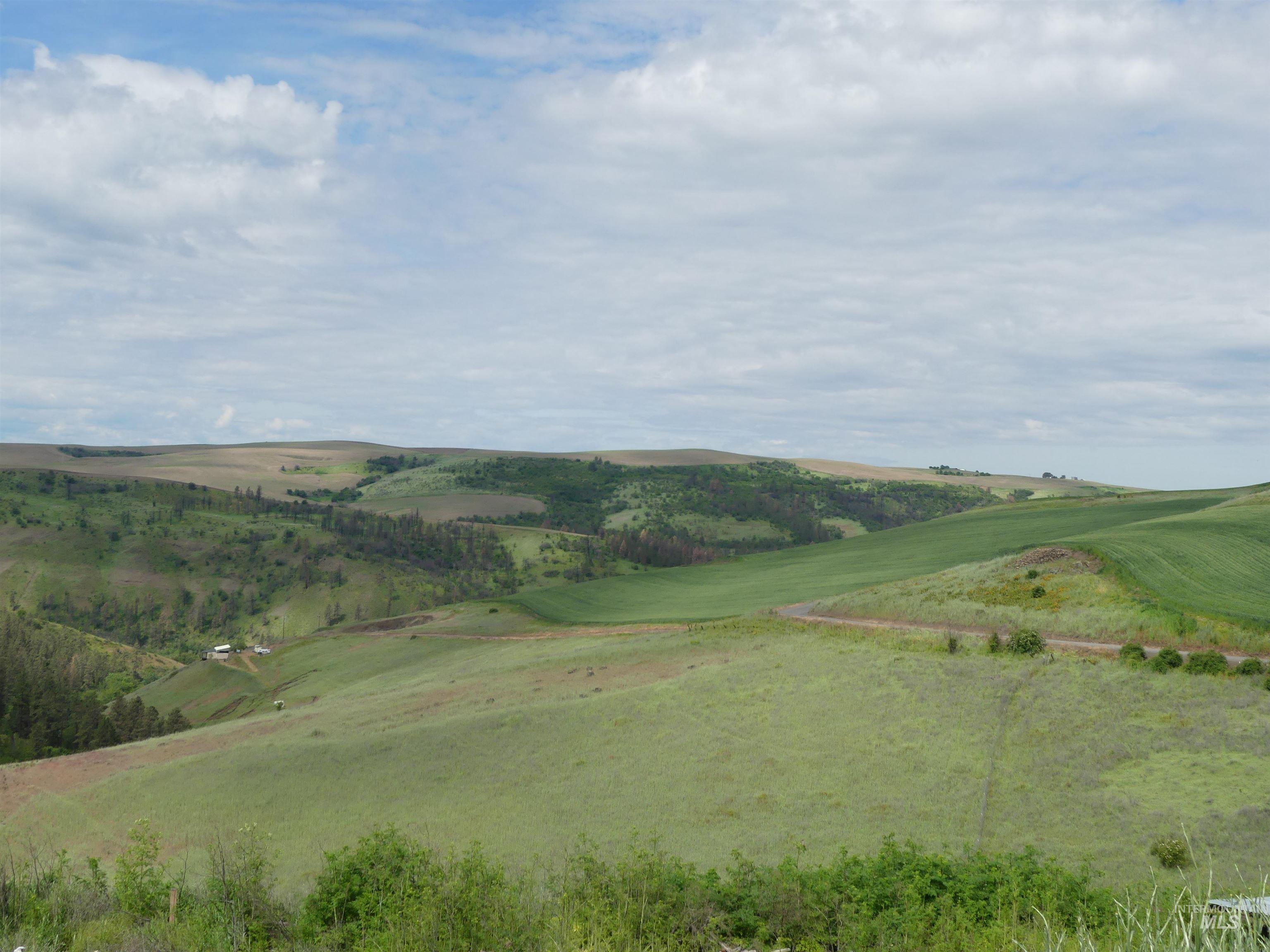30100 Triumph, Culdesac, Idaho 83524, Land For Sale, Price $199,000, 98986867