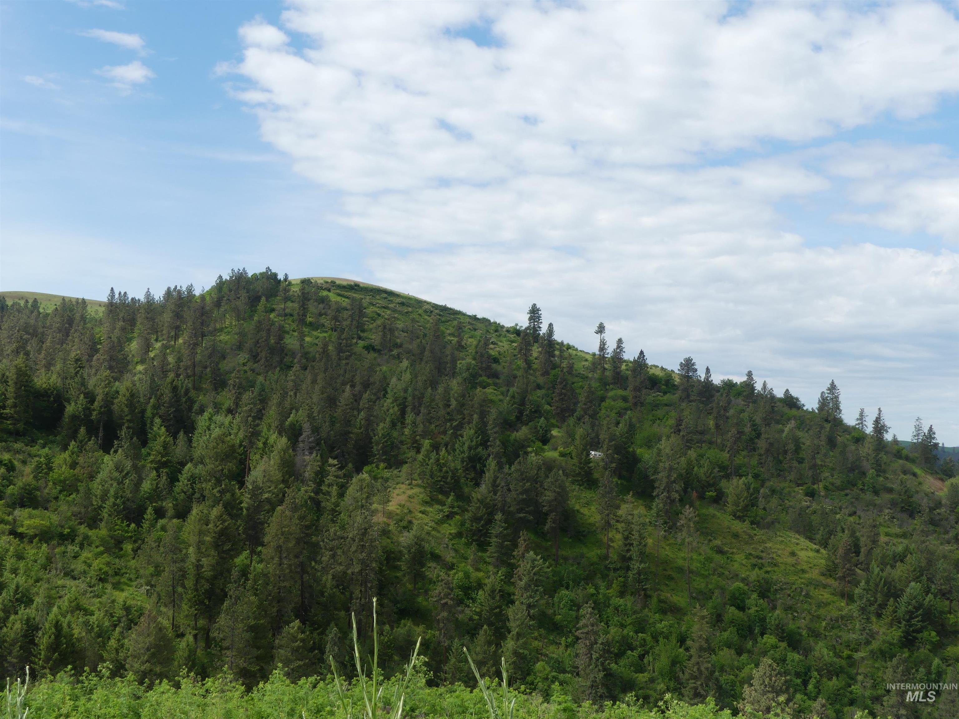 30100 Triumph, Culdesac, Idaho 83524, Land For Sale, Price $199,000, 98986867
