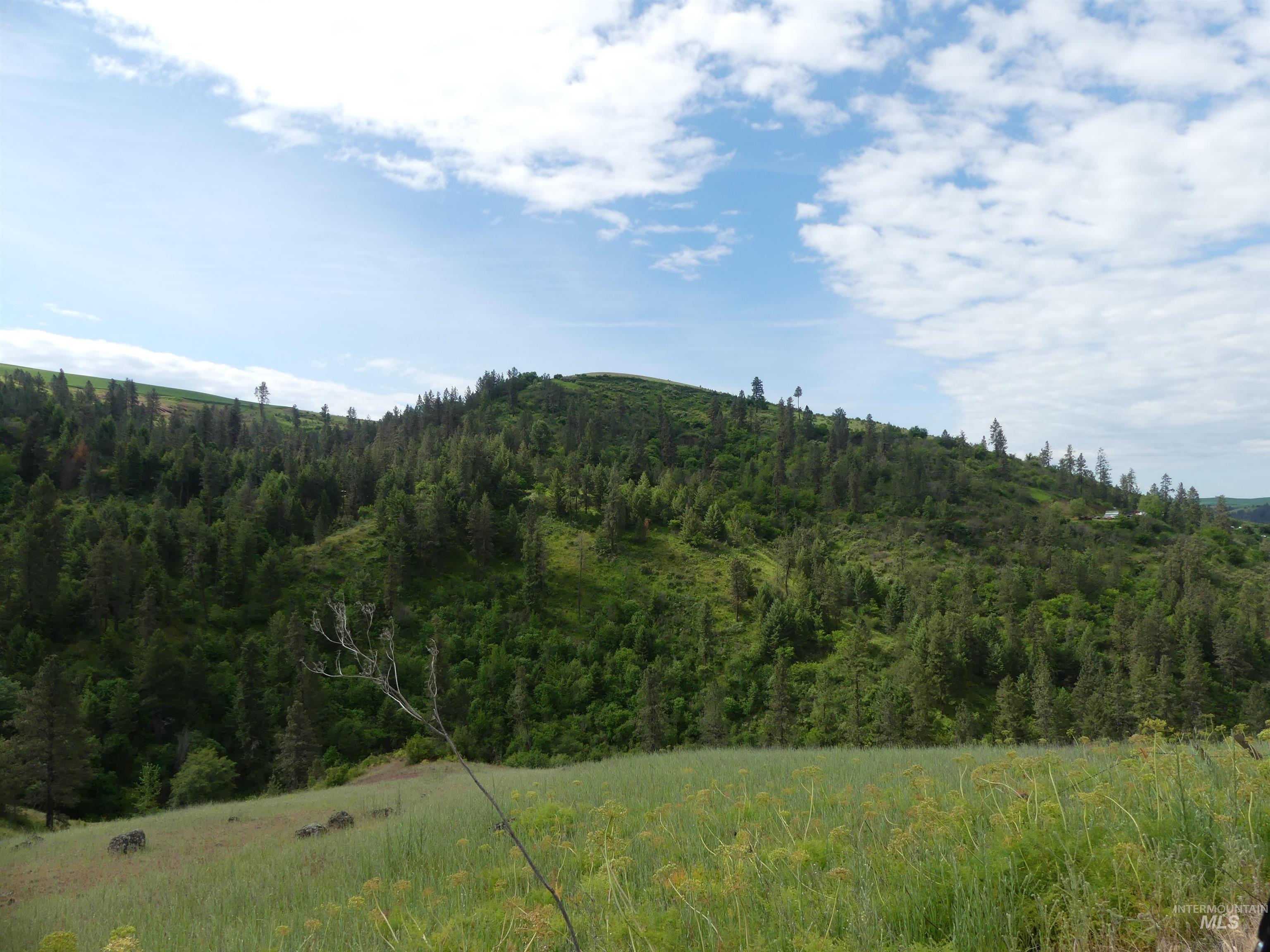 30100 Triumph, Culdesac, Idaho 83524, Land For Sale, Price $199,000, 98986867