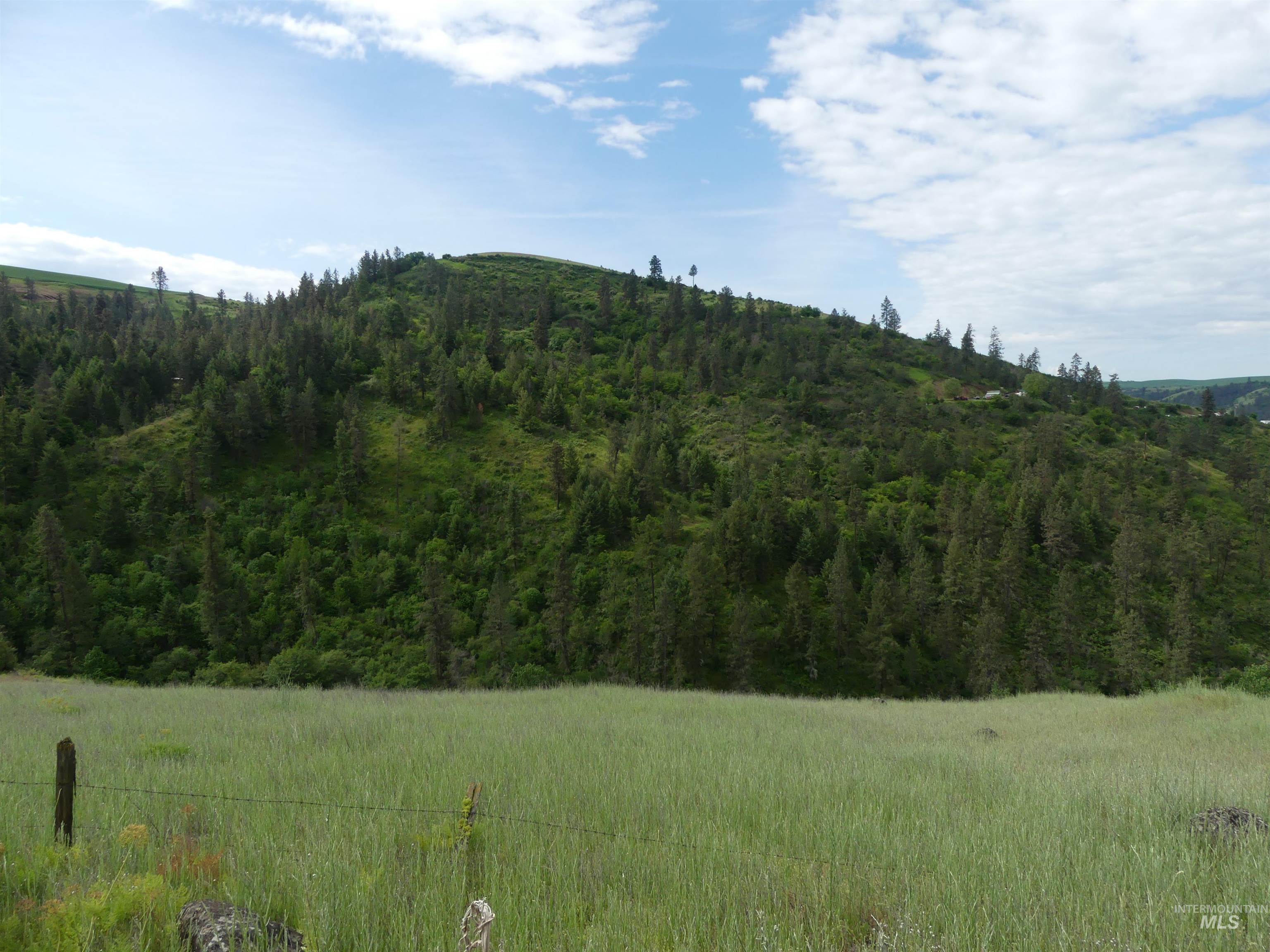 30100 Triumph, Culdesac, Idaho 83524, Land For Sale, Price $199,000, 98986867