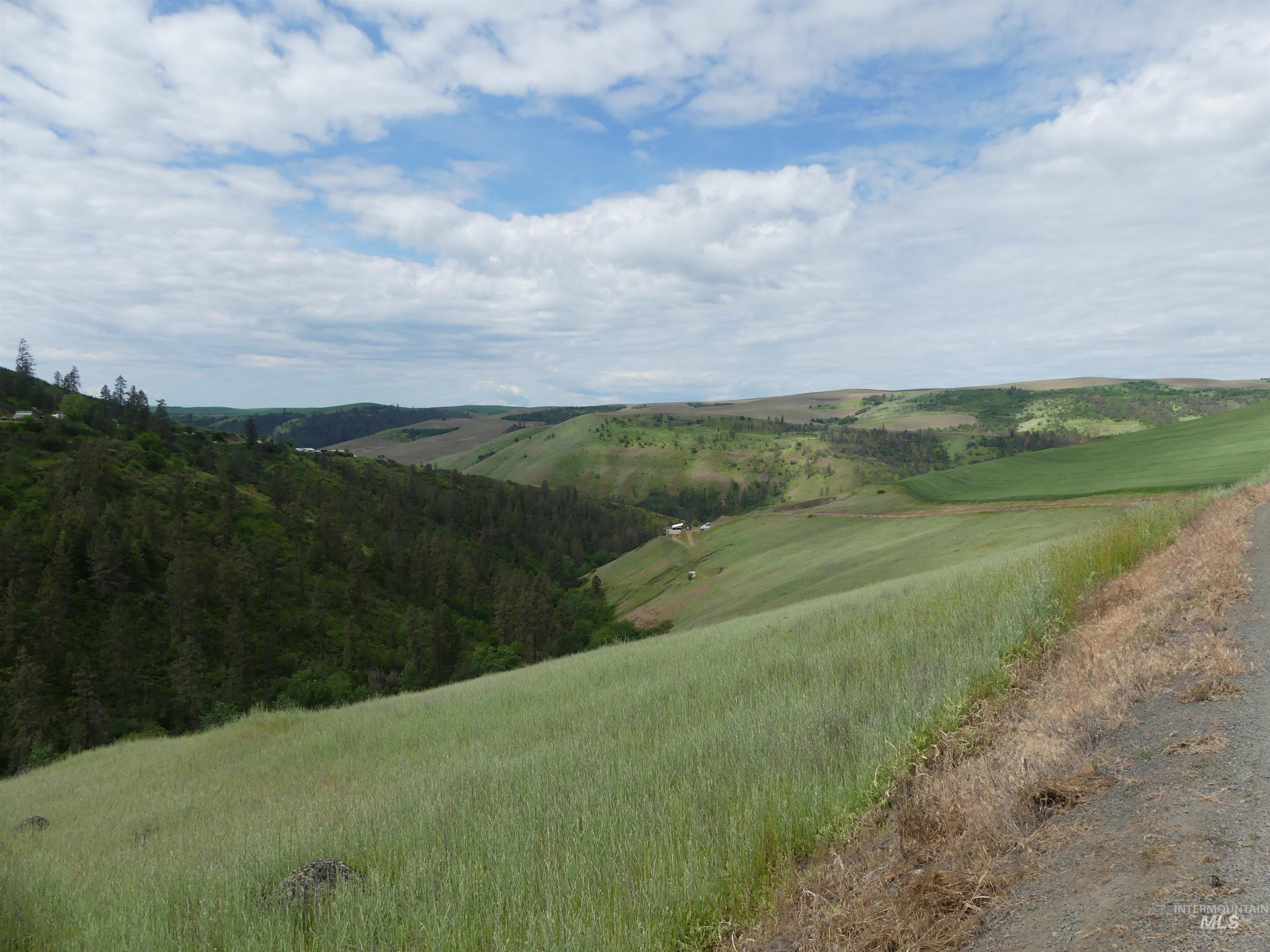 30100 Triumph, Culdesac, Idaho 83524, Land For Sale, Price $199,000, 98986867