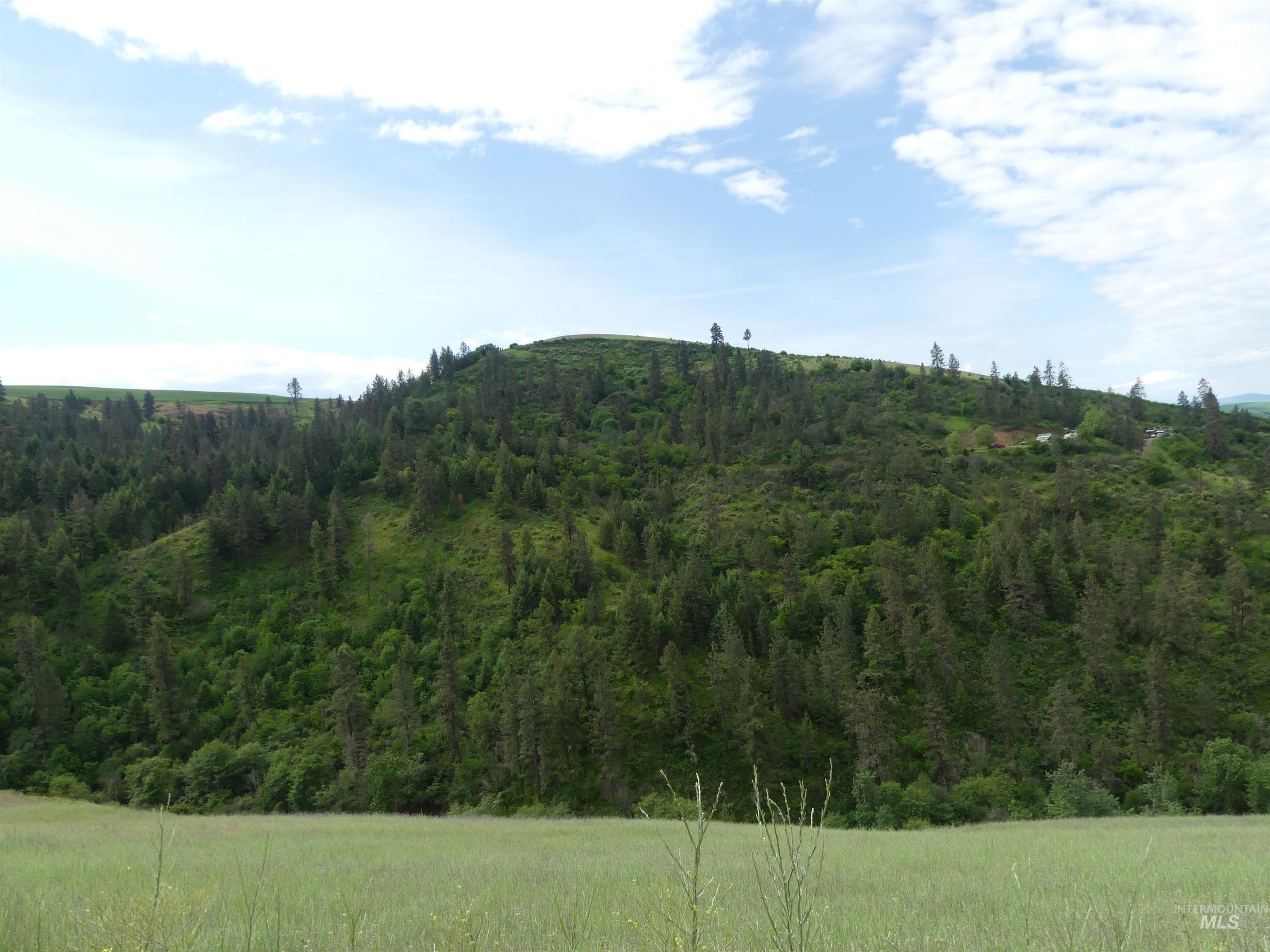 30100 Triumph, Culdesac, Idaho 83524, Land For Sale, Price $199,000, 98986867