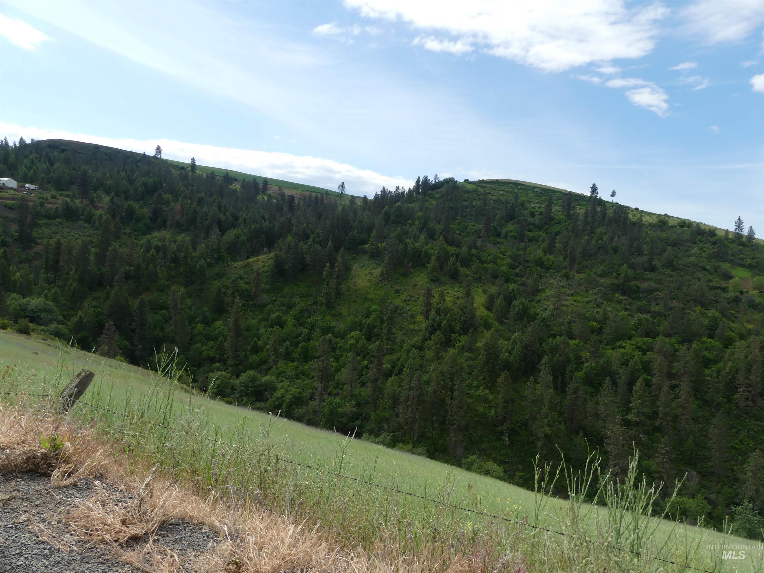 30100 Triumph, Culdesac, Idaho 83524, Land For Sale, Price $199,000, 98986867