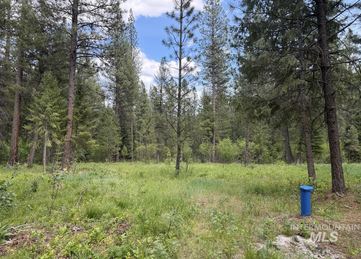 Lot 8, Blk 1 Bell Lane, Garden Valley, Idaho 83622, Land For Sale, Price $550,000,MLS 98986902