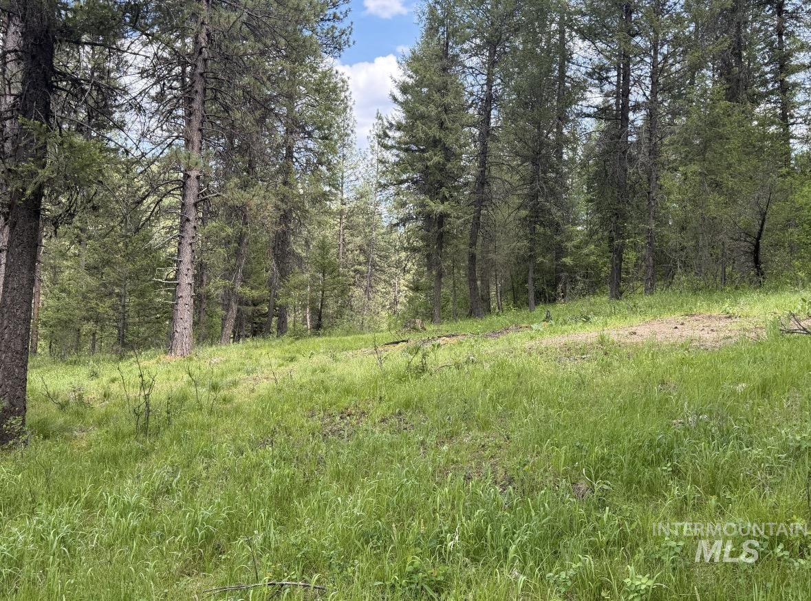 Lot 5, Block 1 Bell Ln, Garden Valley, Idaho 83622, Land For Sale, Price $550,000,MLS 98986903