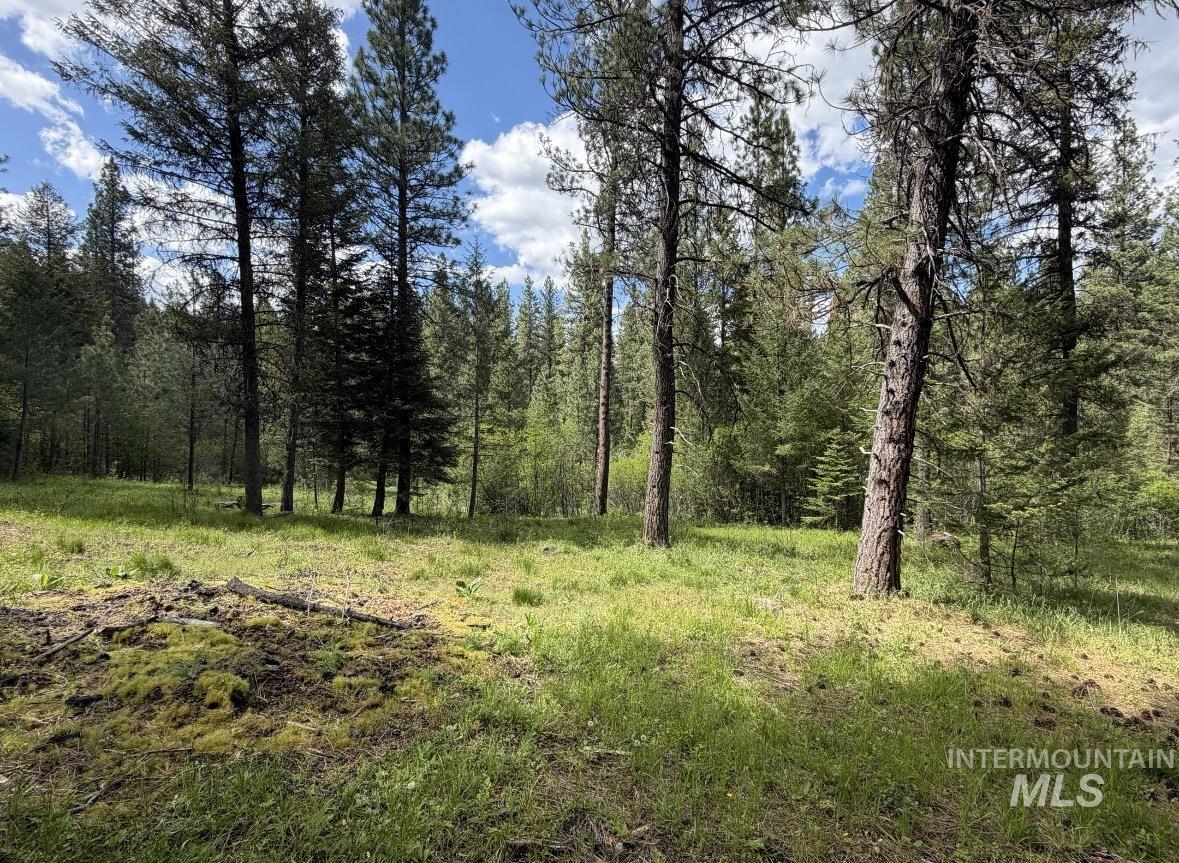Lot 5, Block 1 Bell Ln, Garden Valley, Idaho 83622, Land For Sale, Price $550,000,MLS 98986903
