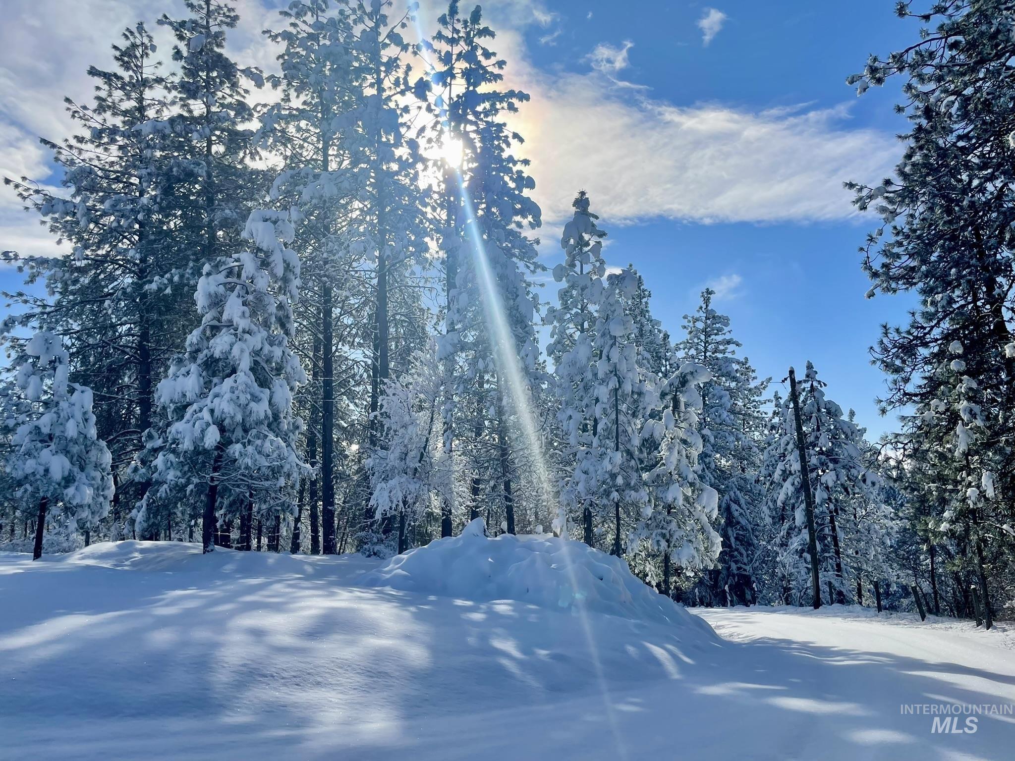 637 Leitch Creek Rd, Kooskia, Idaho 83539, 3 Bedrooms, 2.5 Bathrooms, Residential For Sale, Price $830,000,MLS 98986905