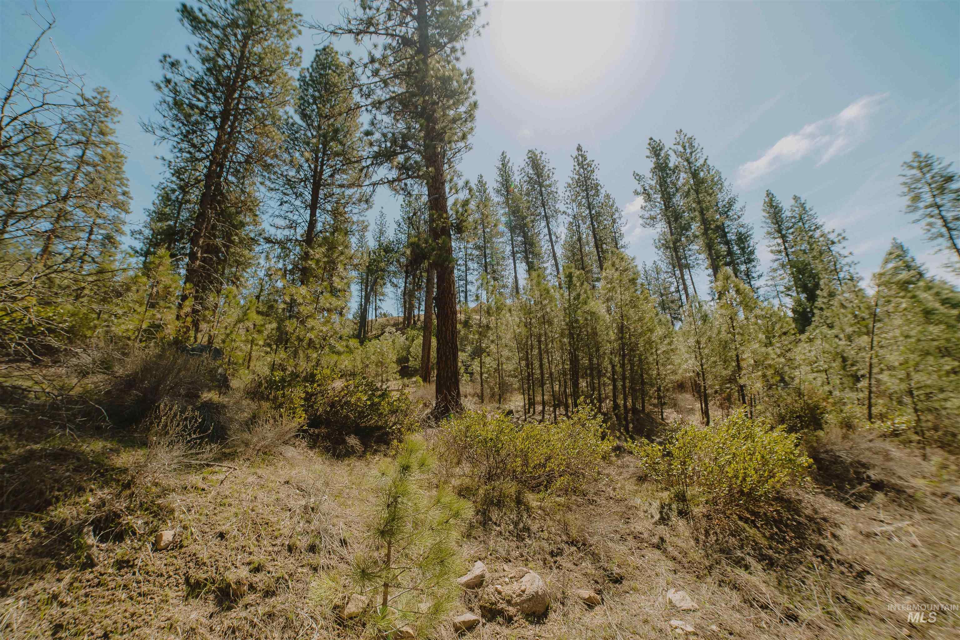 Lot 13, Boise, Idaho 83716, Land For Sale, Price $219,999, 98986934