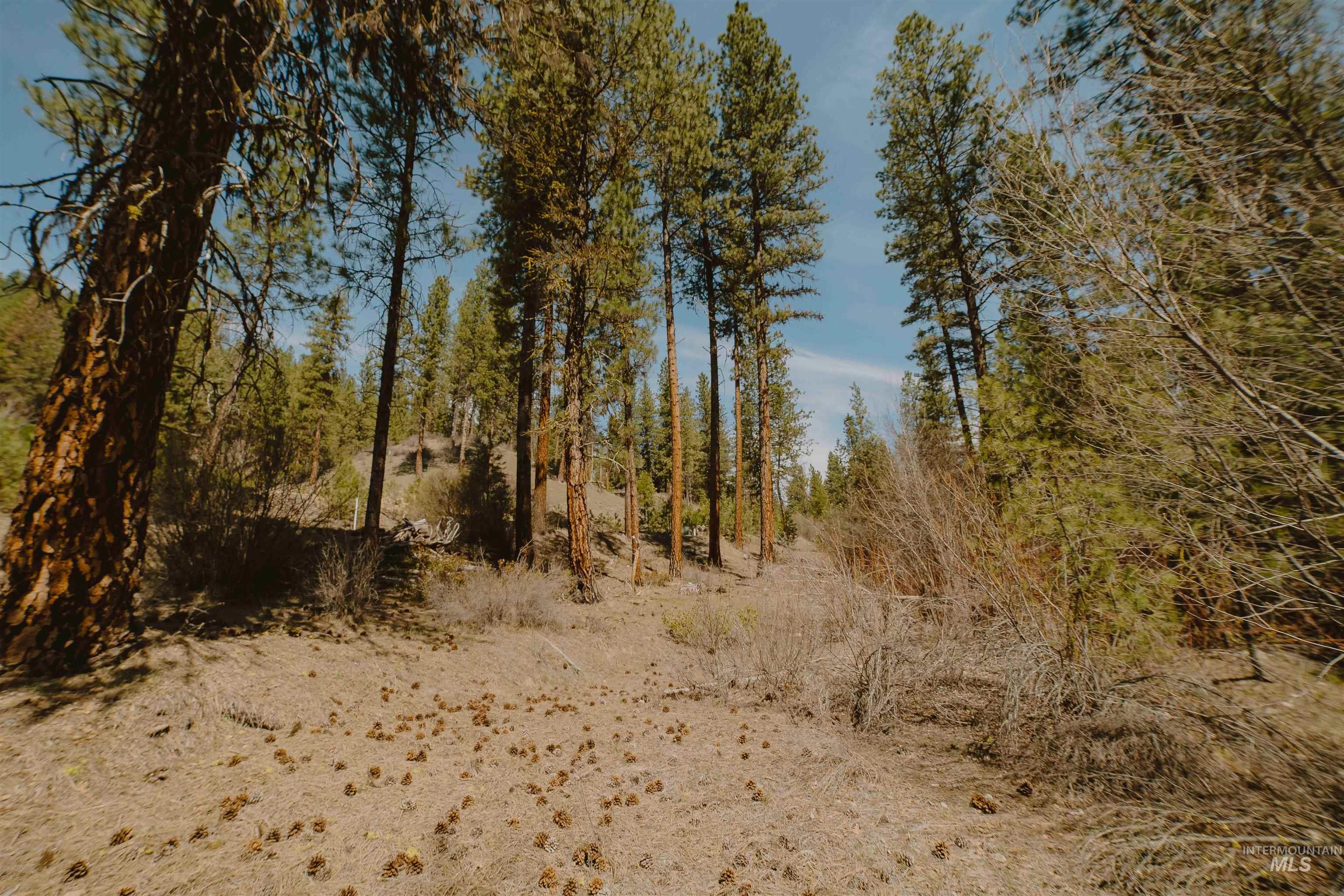 Lot 13, Boise, Idaho 83716, Land For Sale, Price $219,999, 98986934