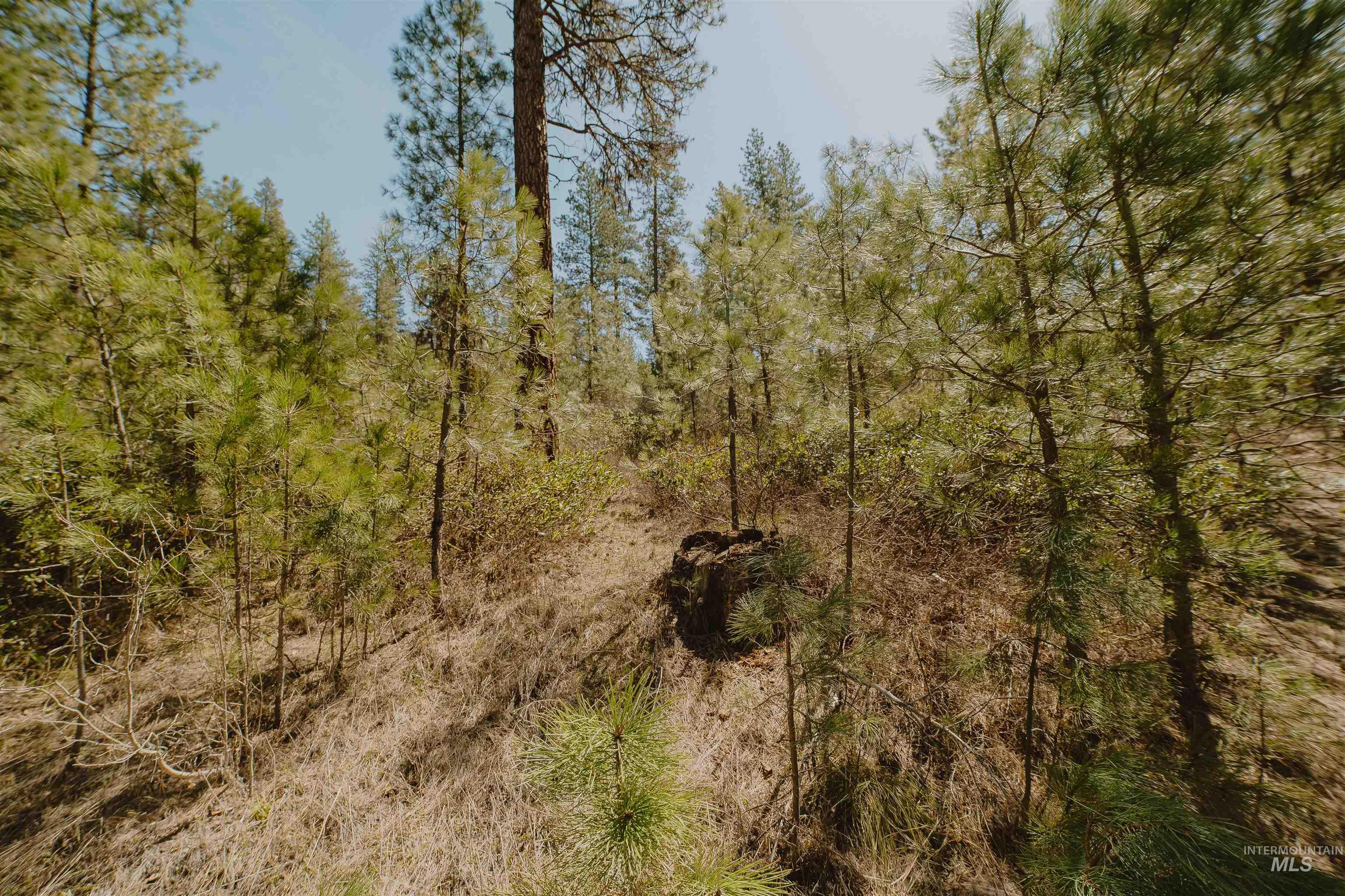 Lot 13, Boise, Idaho 83716, Land For Sale, Price $219,999, 98986934