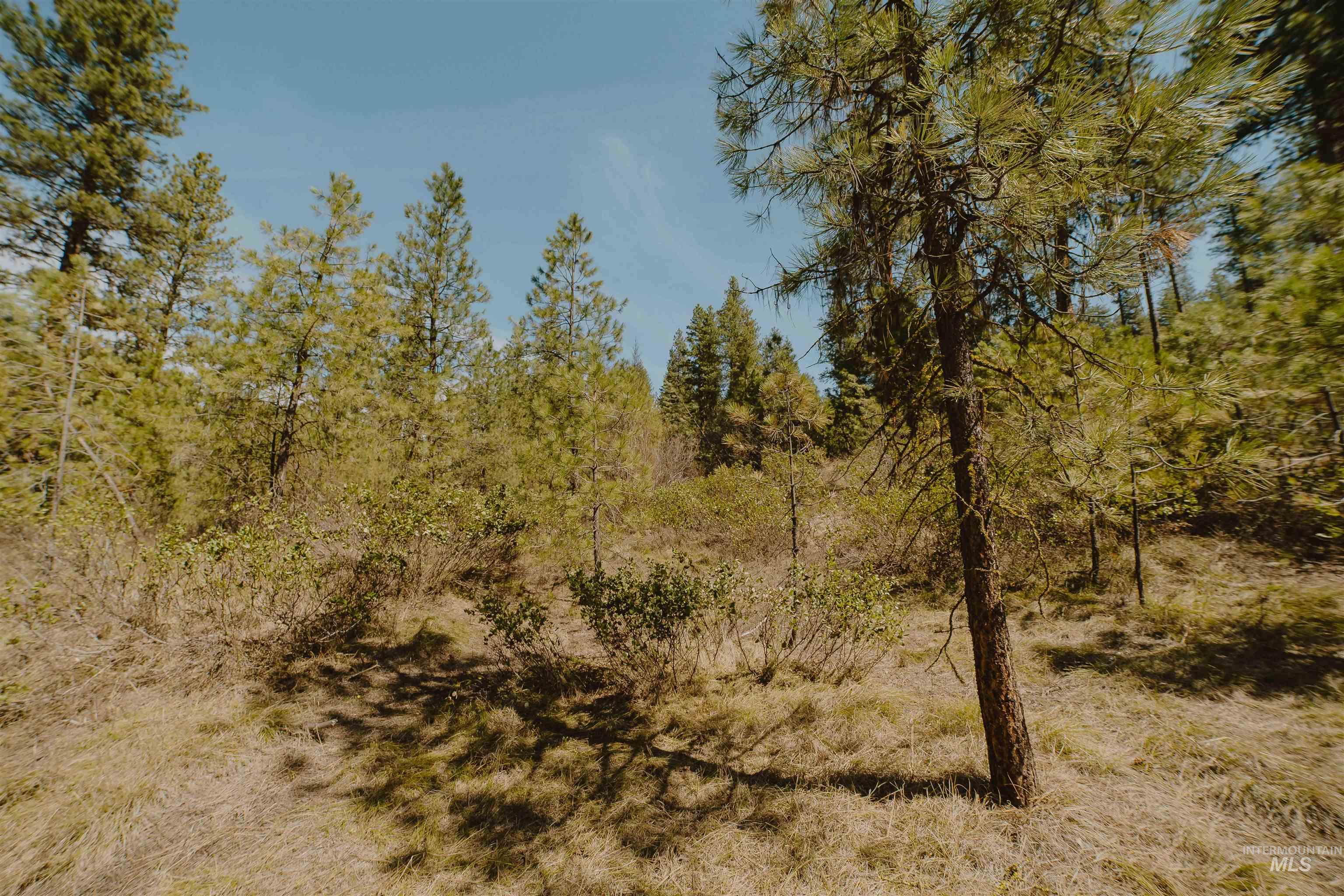 Lot 13, Boise, Idaho 83716, Land For Sale, Price $219,999, 98986934