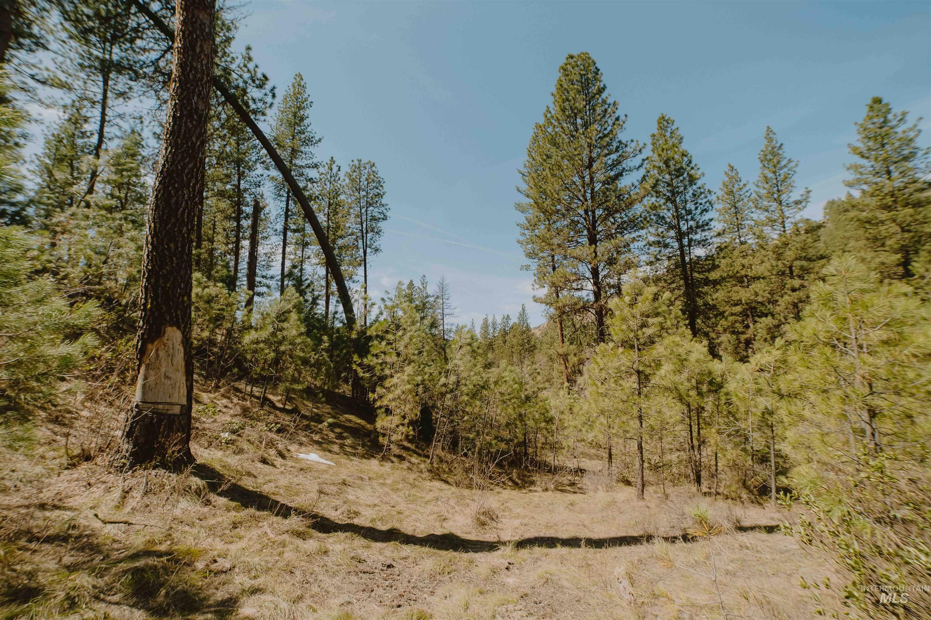 Lot 13, Boise, Idaho 83716, Land For Sale, Price $219,999, 98986934