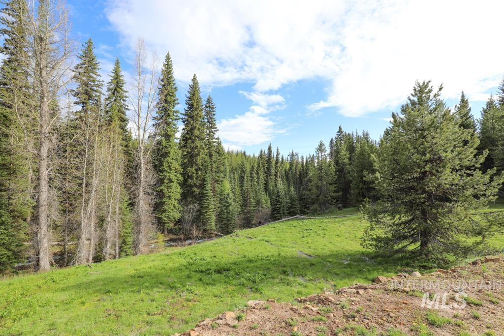 79250 Lookout Mountain Rd, Elgin, Oregon 97827, 6 Bedrooms, 3 Bathrooms, Farm & Ranch For Sale, Price $4,950,000, 98986974