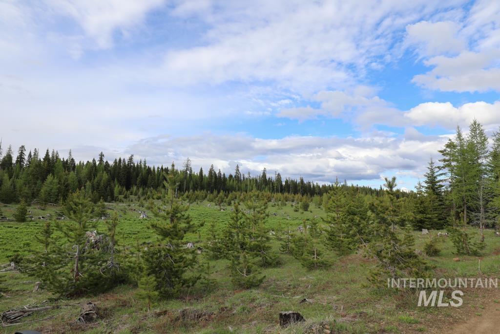 79250 Lookout Mountain Rd, Elgin, Oregon 97827, 6 Bedrooms, 3 Bathrooms, Farm & Ranch For Sale, Price $4,950,000, 98986974