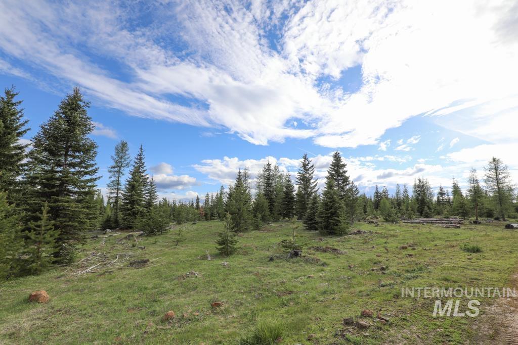 79250 Lookout Mountain Rd, Elgin, Oregon 97827, 6 Bedrooms, 3 Bathrooms, Farm & Ranch For Sale, Price $4,950,000, 98986974