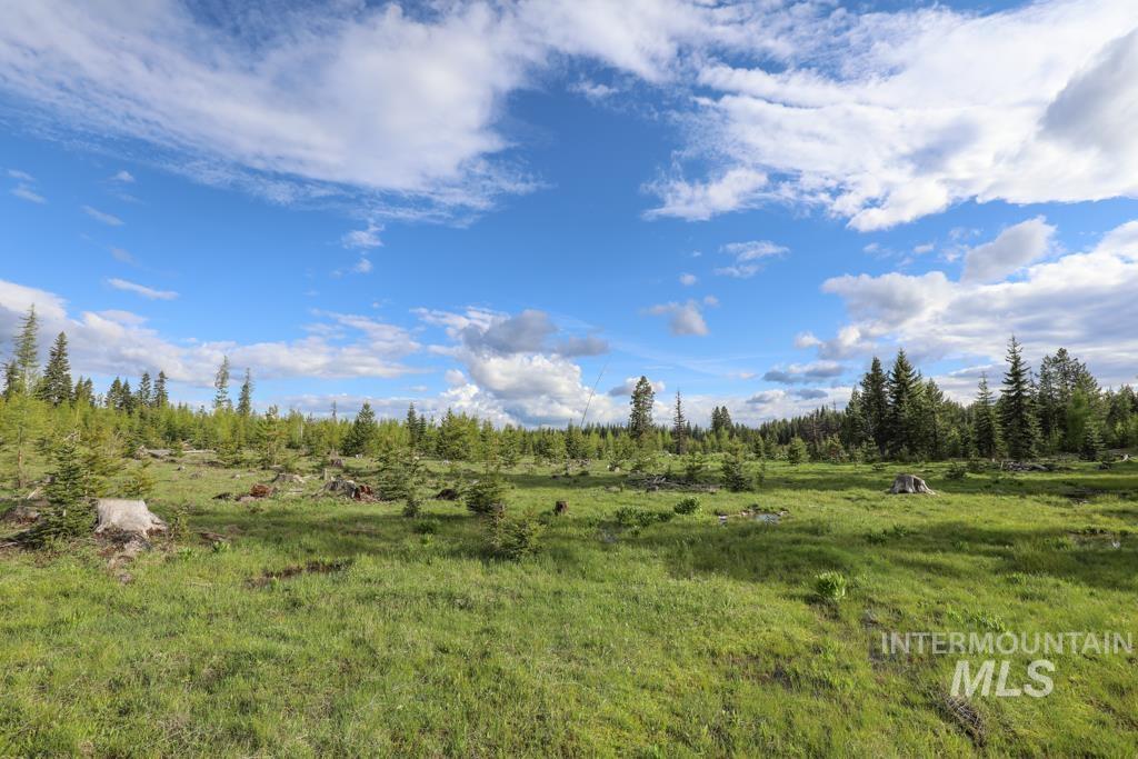 79250 Lookout Mountain Rd, Elgin, Oregon 97827, 6 Bedrooms, 3 Bathrooms, Farm & Ranch For Sale, Price $4,950,000, 98986974