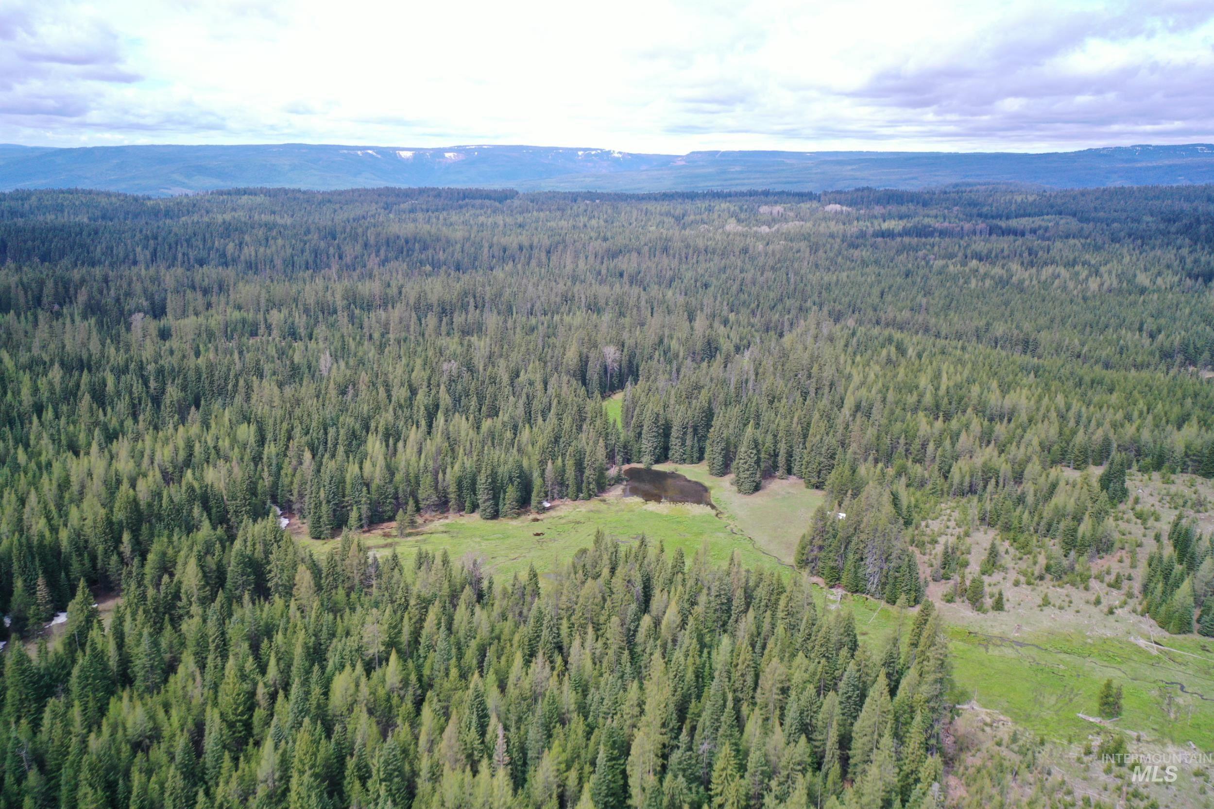 79250 Lookout Mountain Rd, Elgin, Oregon 97827, 6 Bedrooms, 3 Bathrooms, Farm & Ranch For Sale, Price $4,950,000, 98986974