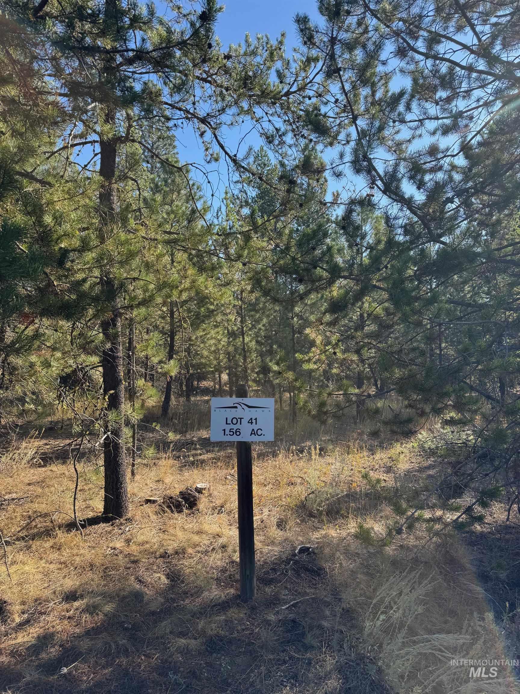 13 Cassia Ct, McCall, Idaho 83638, Land For Sale, Price $245,000, 98986983