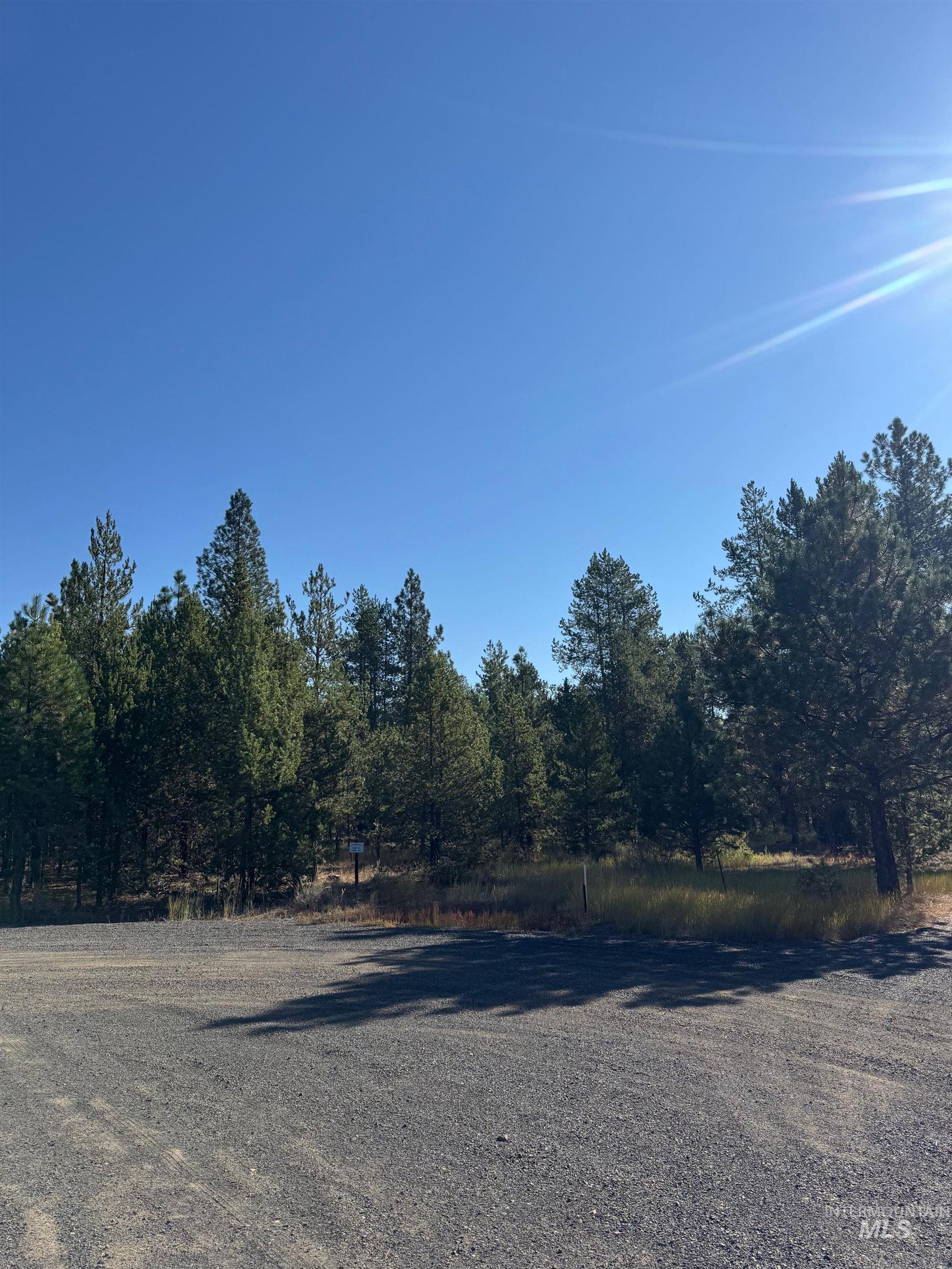 13 Cassia Ct, McCall, Idaho 83638, Land For Sale, Price $245,000, 98986983