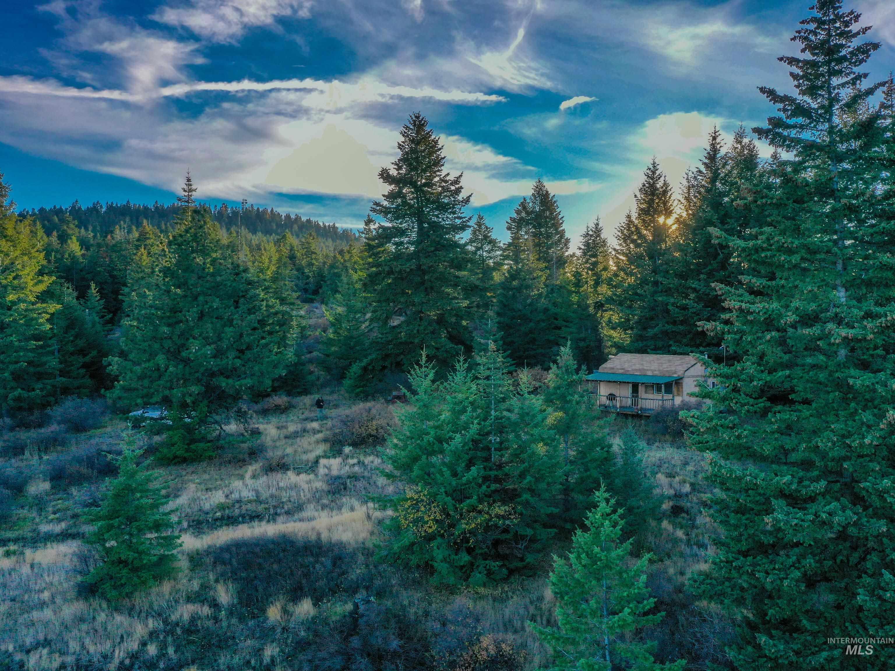 624 Radar Rd, CottonWood, Idaho 83522, Land For Sale, Price $279,000, 98986989