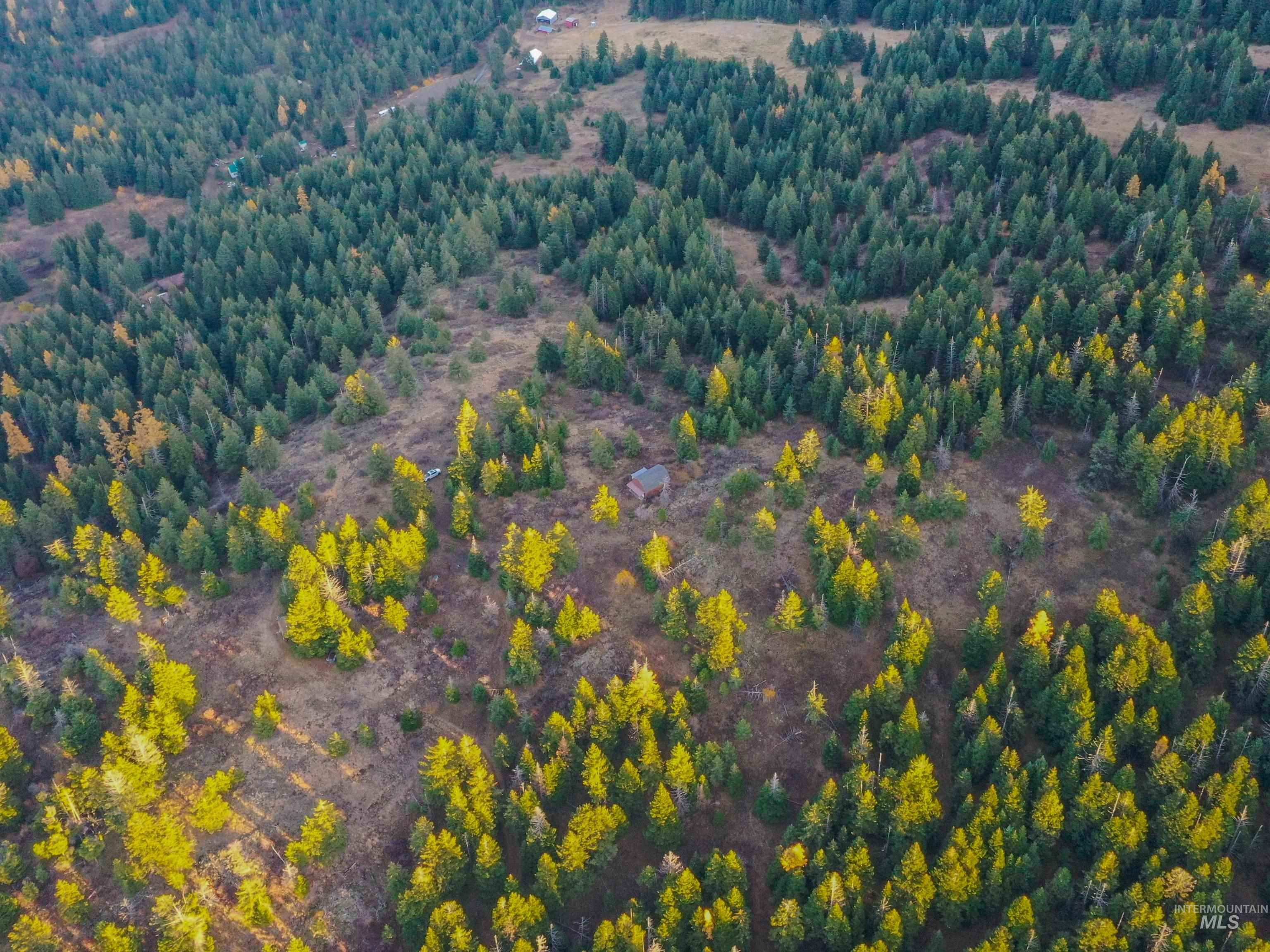 624 Radar Rd, CottonWood, Idaho 83522, Land For Sale, Price $279,000, 98986989