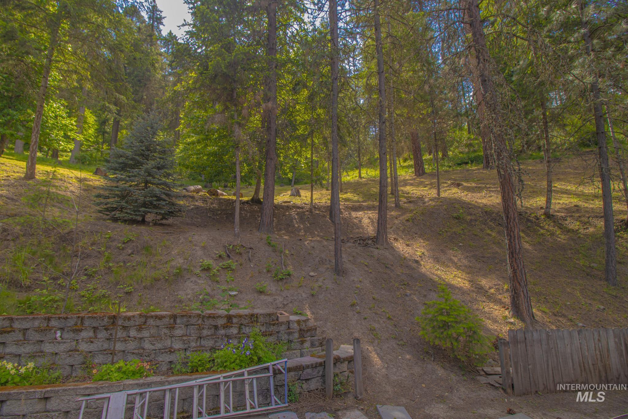 801 McArthur Dr, Orofino, Idaho 83544, 3 Bedrooms, 2 Bathrooms, Residential For Sale, Price $430,000, 98987016
