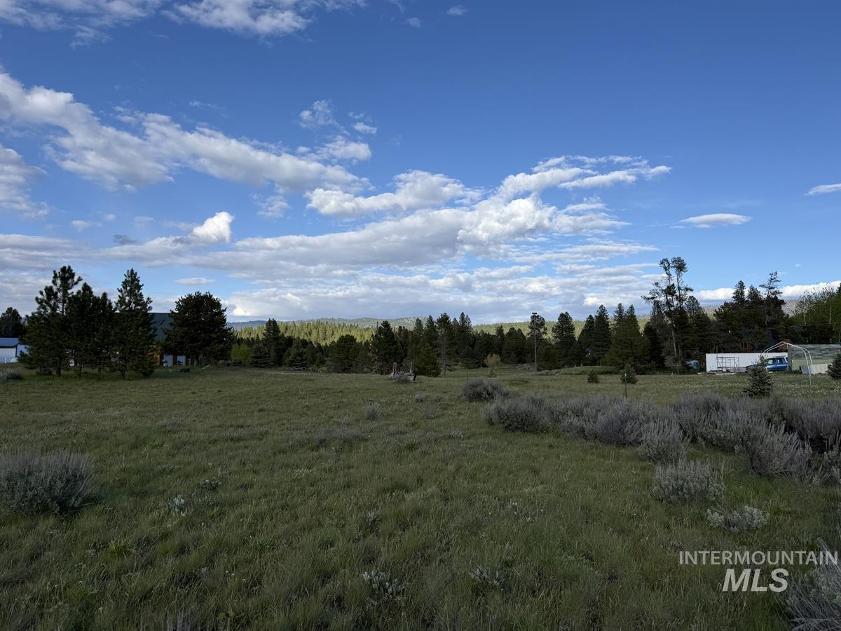 8 W Prospectors Drive, Cascade, Idaho 83611, Land For Sale, Price $87,500, 98987029