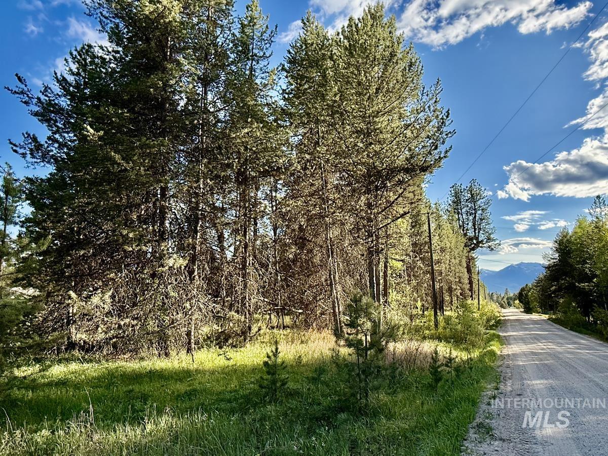 8 W Prospectors Drive, Cascade, Idaho 83611, Land For Sale, Price $87,500, 98987029