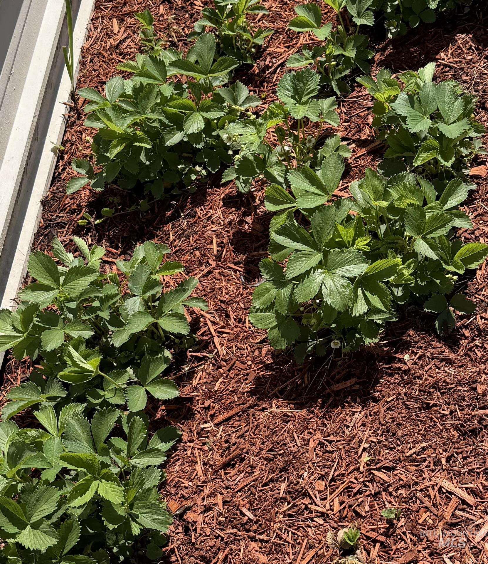 411 N Almon St., Moscow, Idaho 83843, 2 Bedrooms, 2 Bathrooms, Residential For Sale, Price $55,000, 98987040