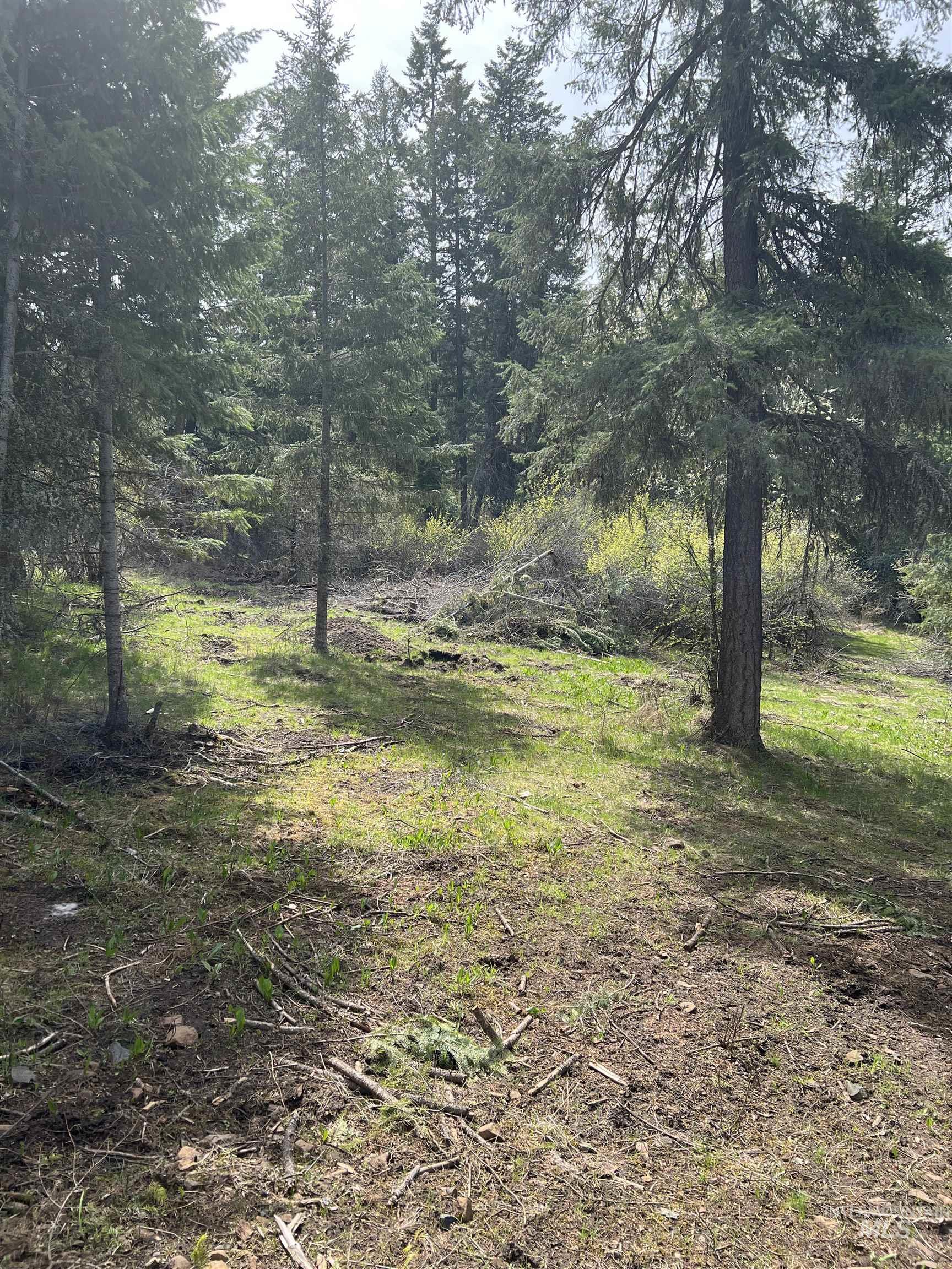 Parcel B Elk City Wagon Road, Stites, Idaho 83539, Land For Sale, Price $87,000, 98987043