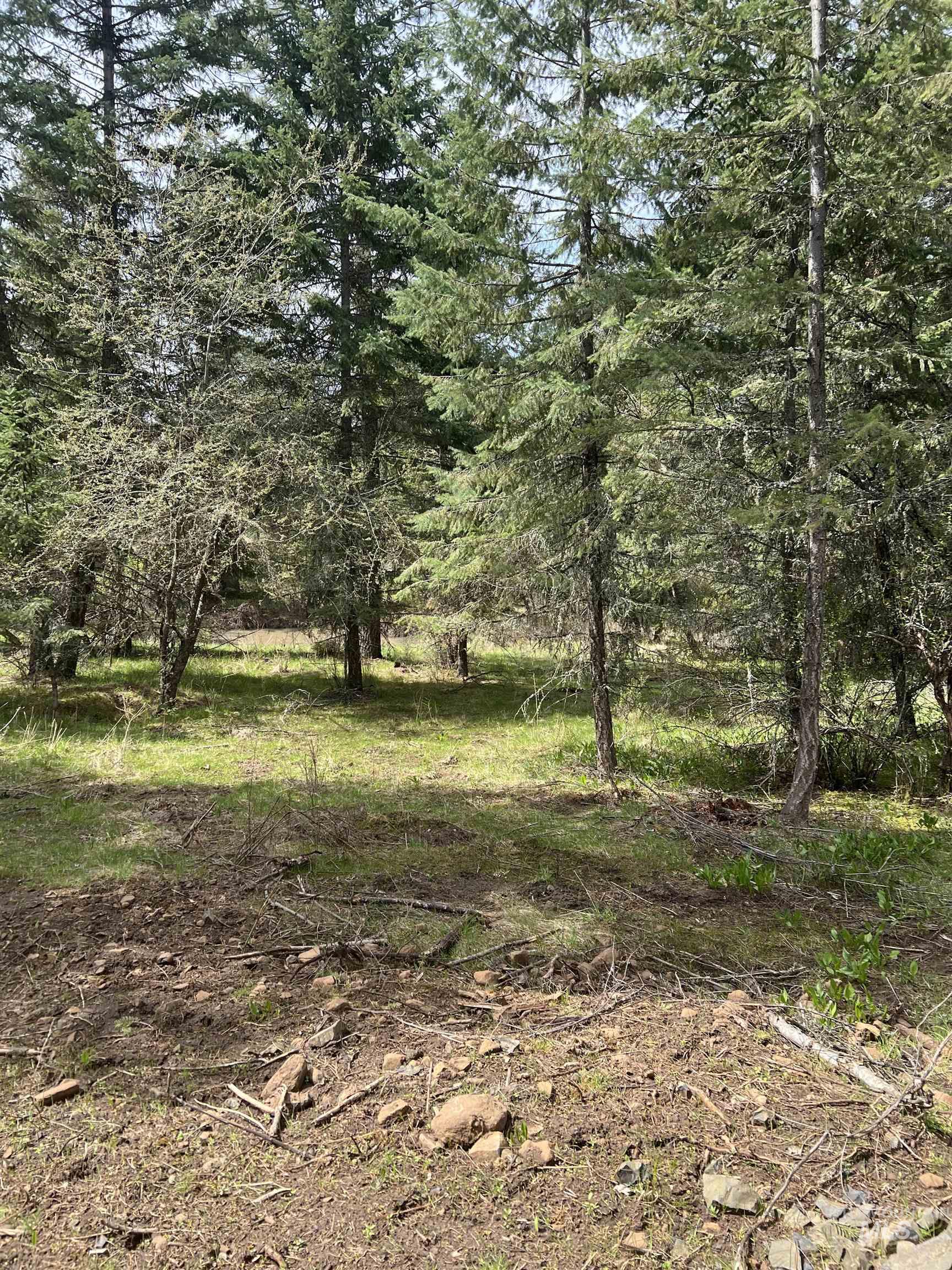 Parcel B Elk City Wagon Road, Stites, Idaho 83539, Land For Sale, Price $87,000, 98987043
