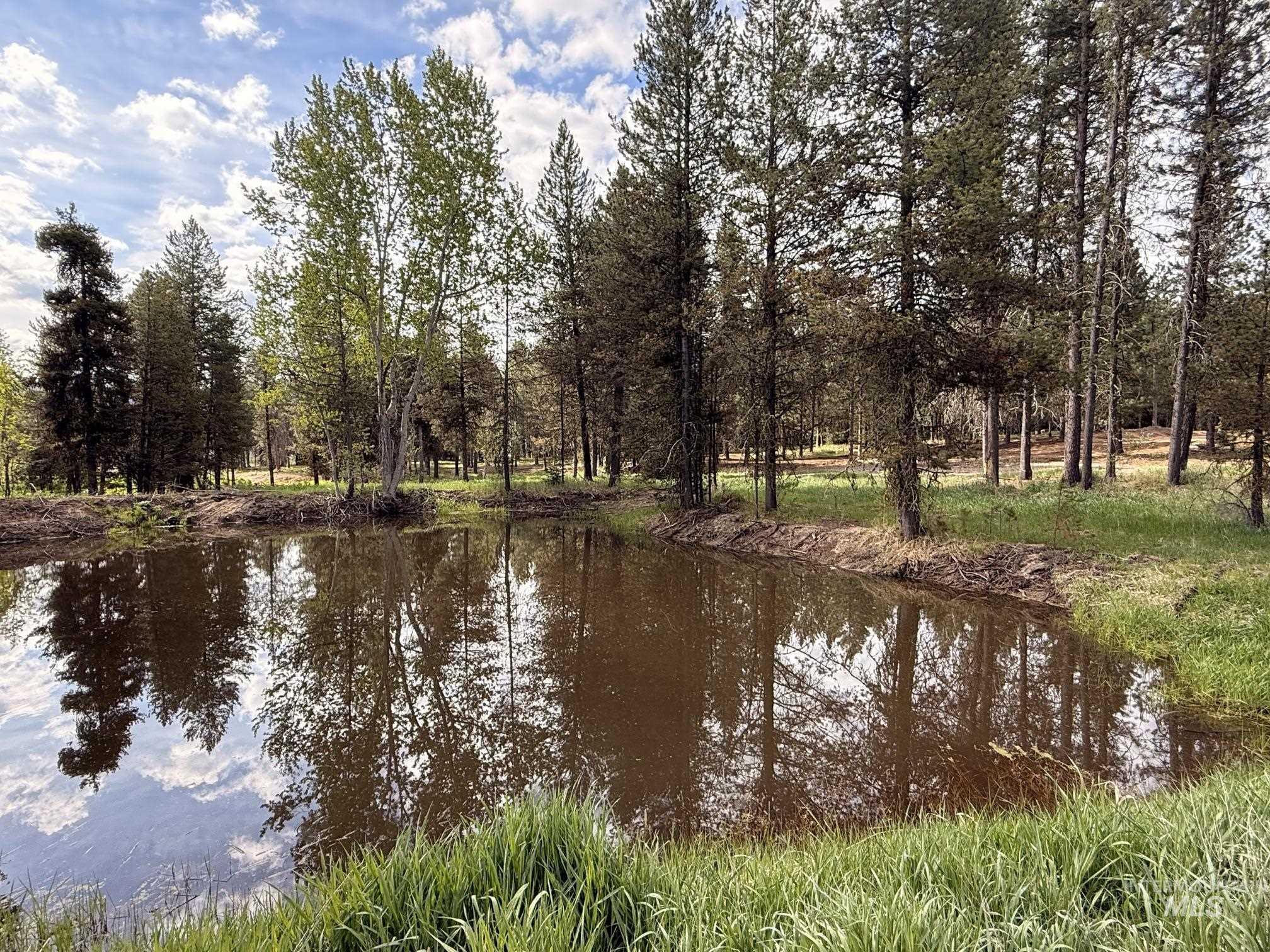 TBD Lot 2 and 3 Timber Haven, Cascade, Idaho 83611, Land For Sale, Price $399,000, 98987054