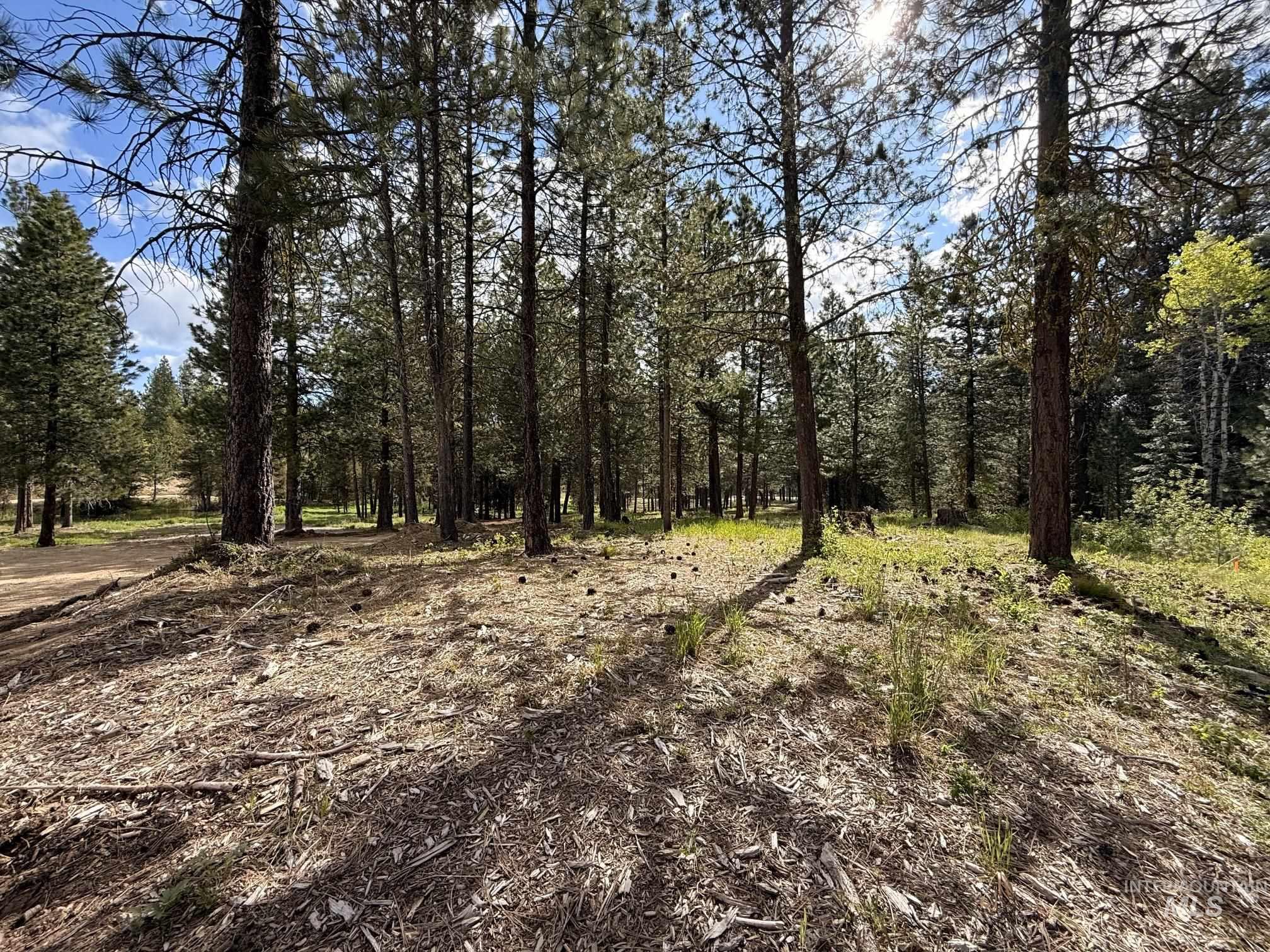TBD Lot 2 and 3 Timber Haven, Cascade, Idaho 83611, Land For Sale, Price $399,000, 98987054