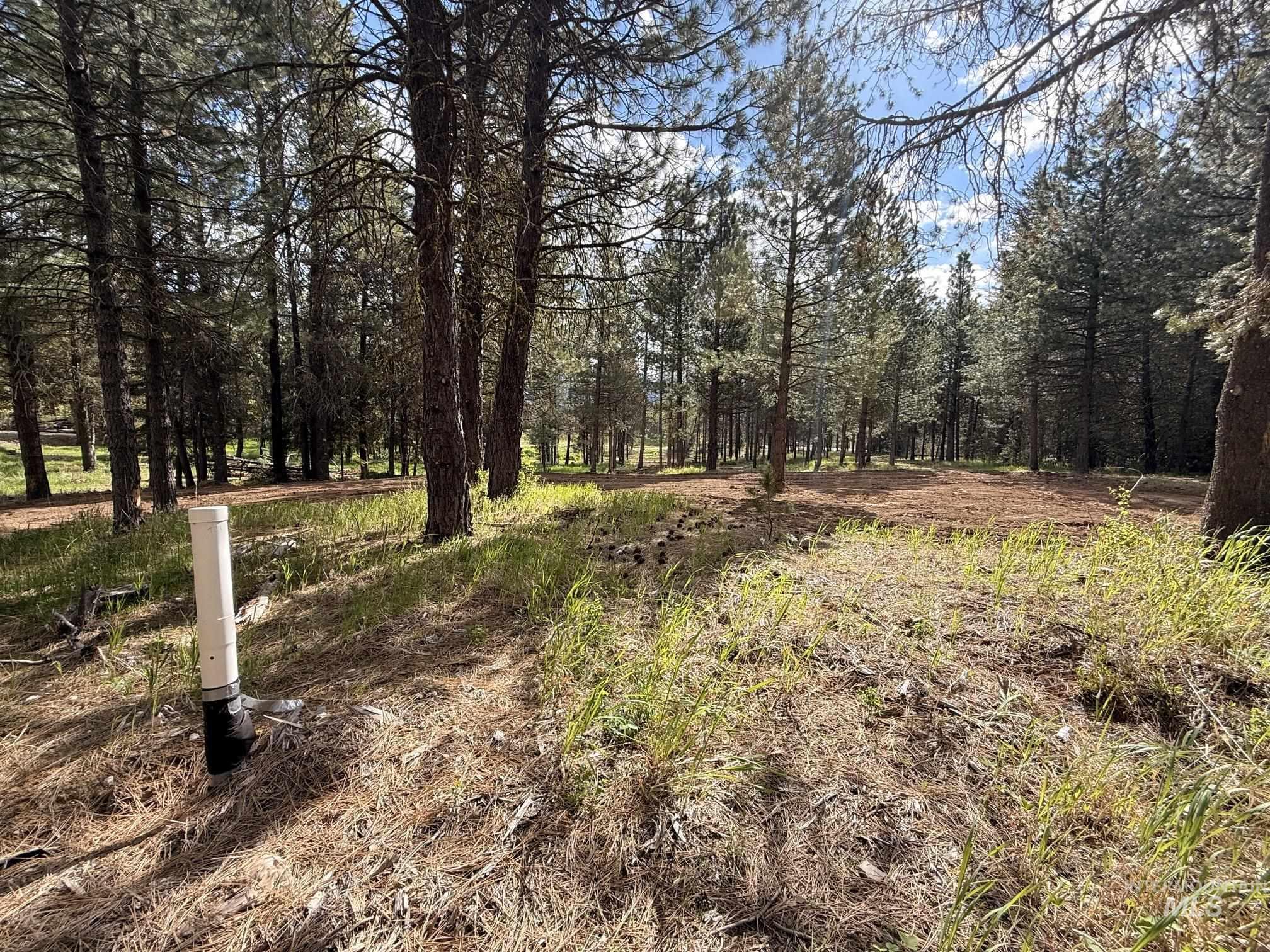 TBD Lot 2 and 3 Timber Haven, Cascade, Idaho 83611, Land For Sale, Price $399,000, 98987054