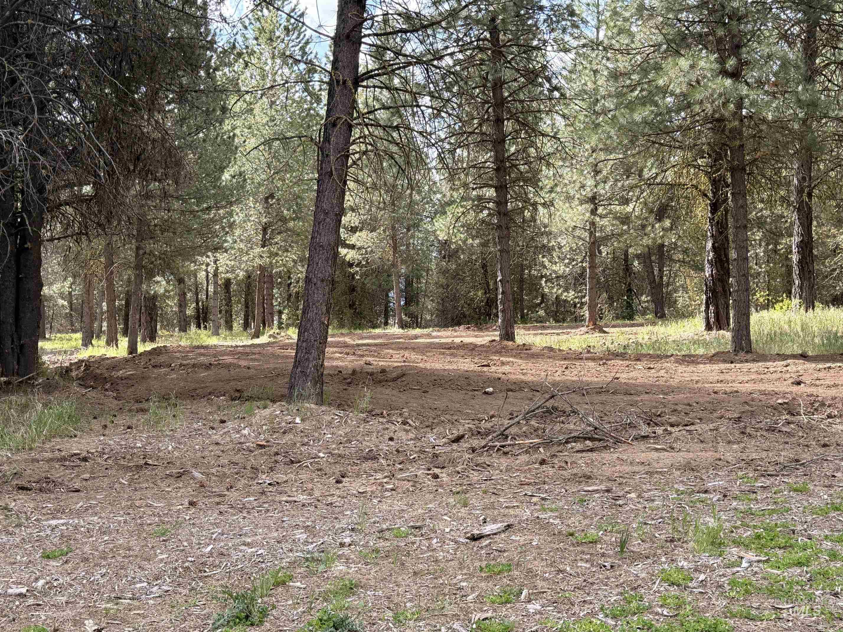 TBD Lot 2 and 3 Timber Haven, Cascade, Idaho 83611, Land For Sale, Price $399,000, 98987054