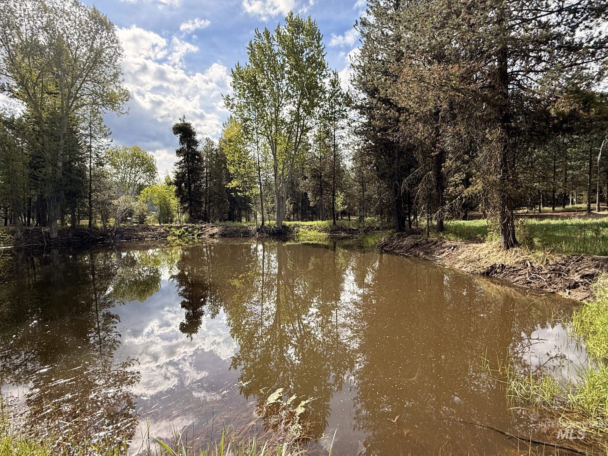 TBD Lot 2 and 3 Timber Haven, Cascade, Idaho 83611, Land For Sale, Price $399,000, 98987054
