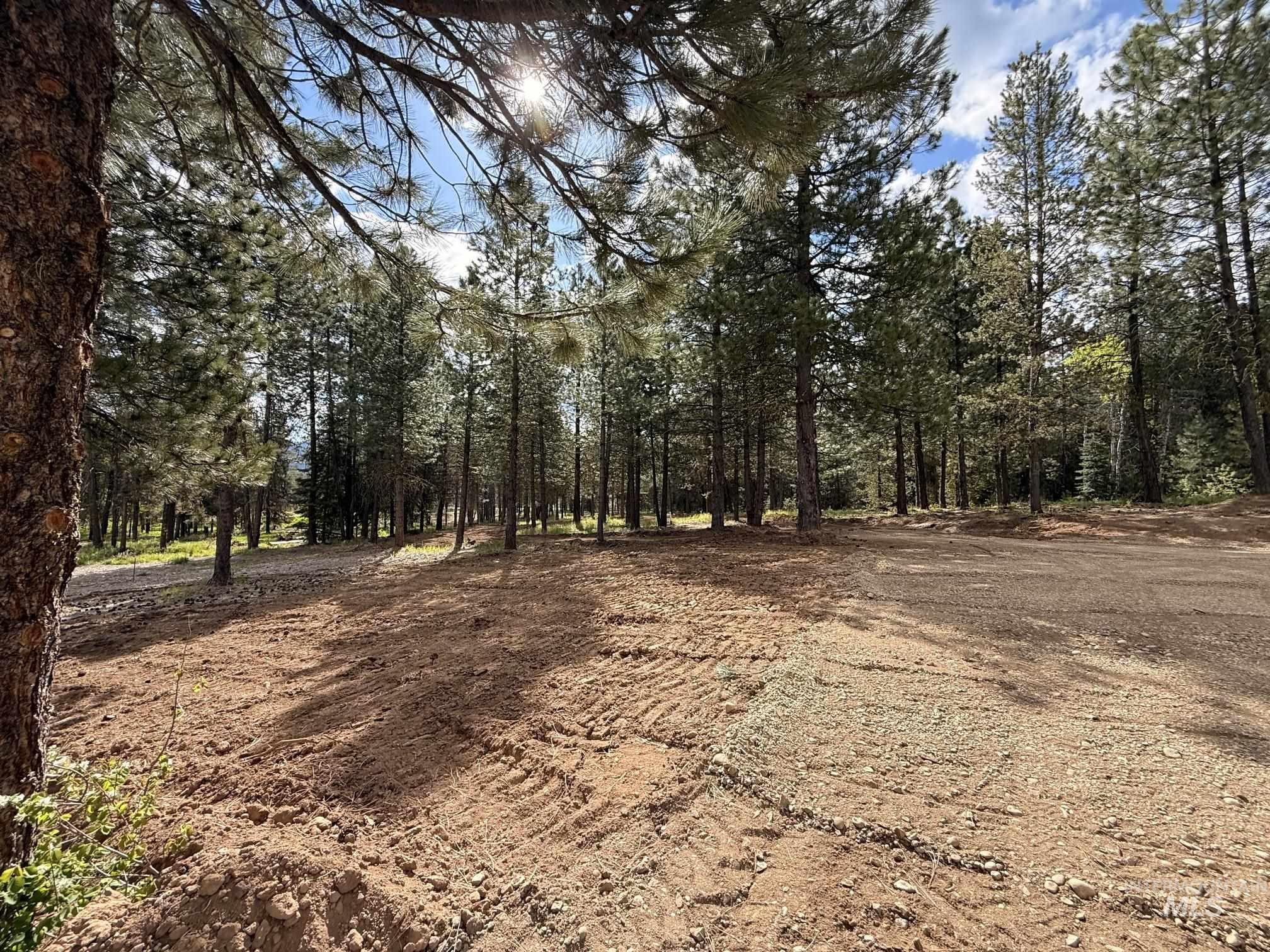 TBD Lot 2 and 3 Timber Haven, Cascade, Idaho 83611, Land For Sale, Price $399,000, 98987054