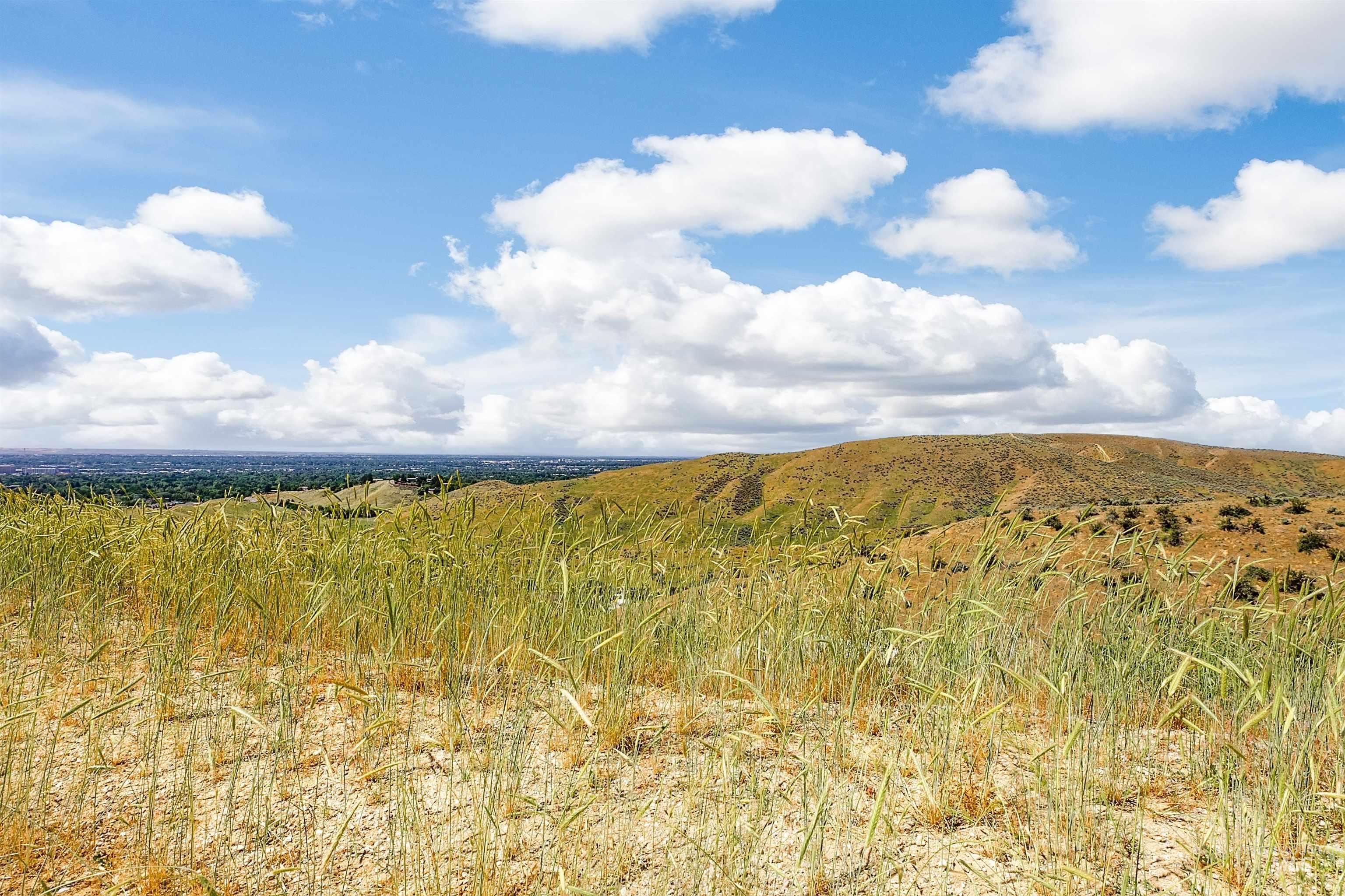 3763 N Scenic Ridge Lane, Boise, Idaho 83714, Land For Sale, Price $1,700,000, 98987077