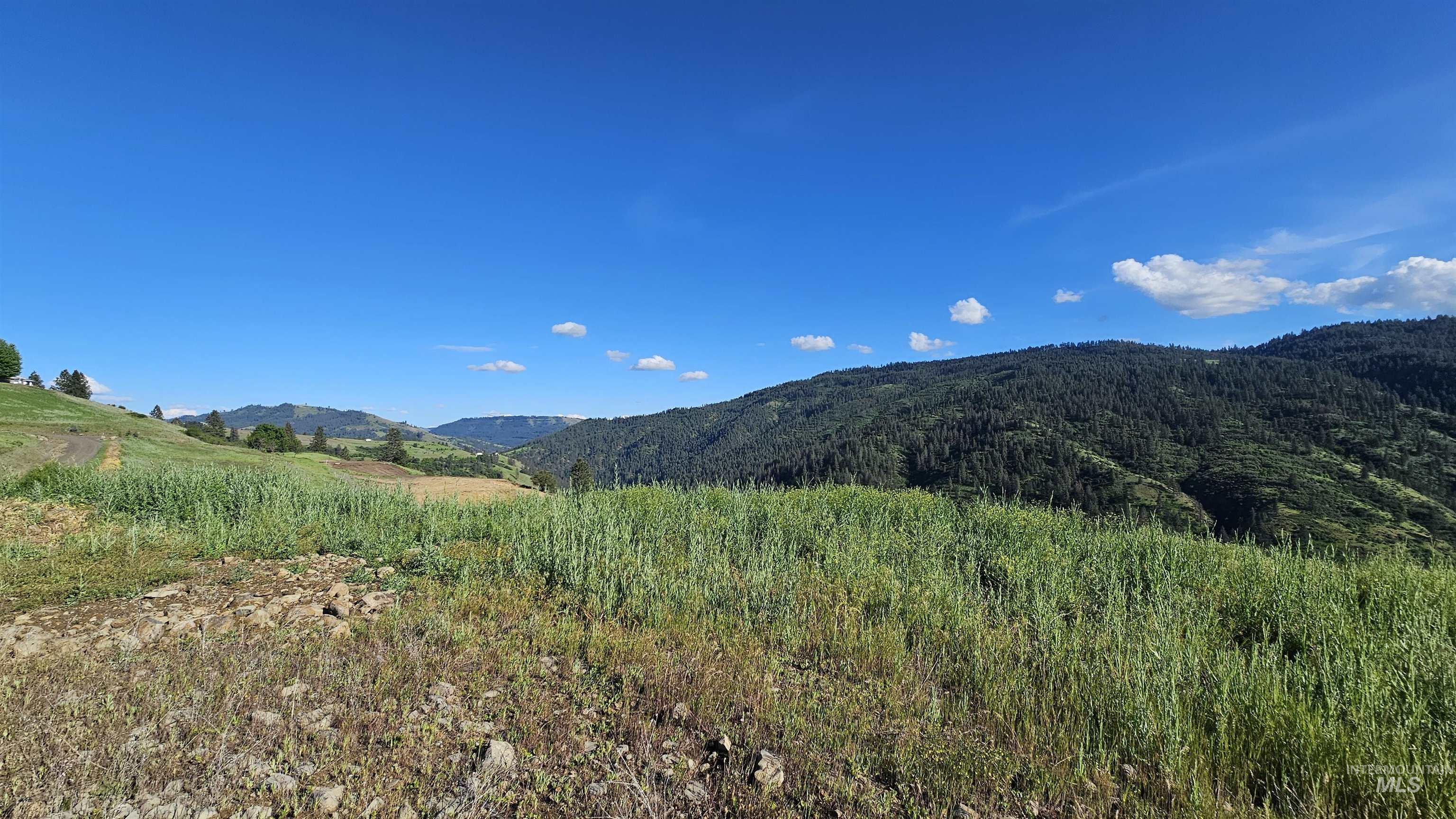 TBD Lot 5 Quiet Hills Ln, Lenore, Idaho 83541, Land For Sale, Price $290,000, 98987086