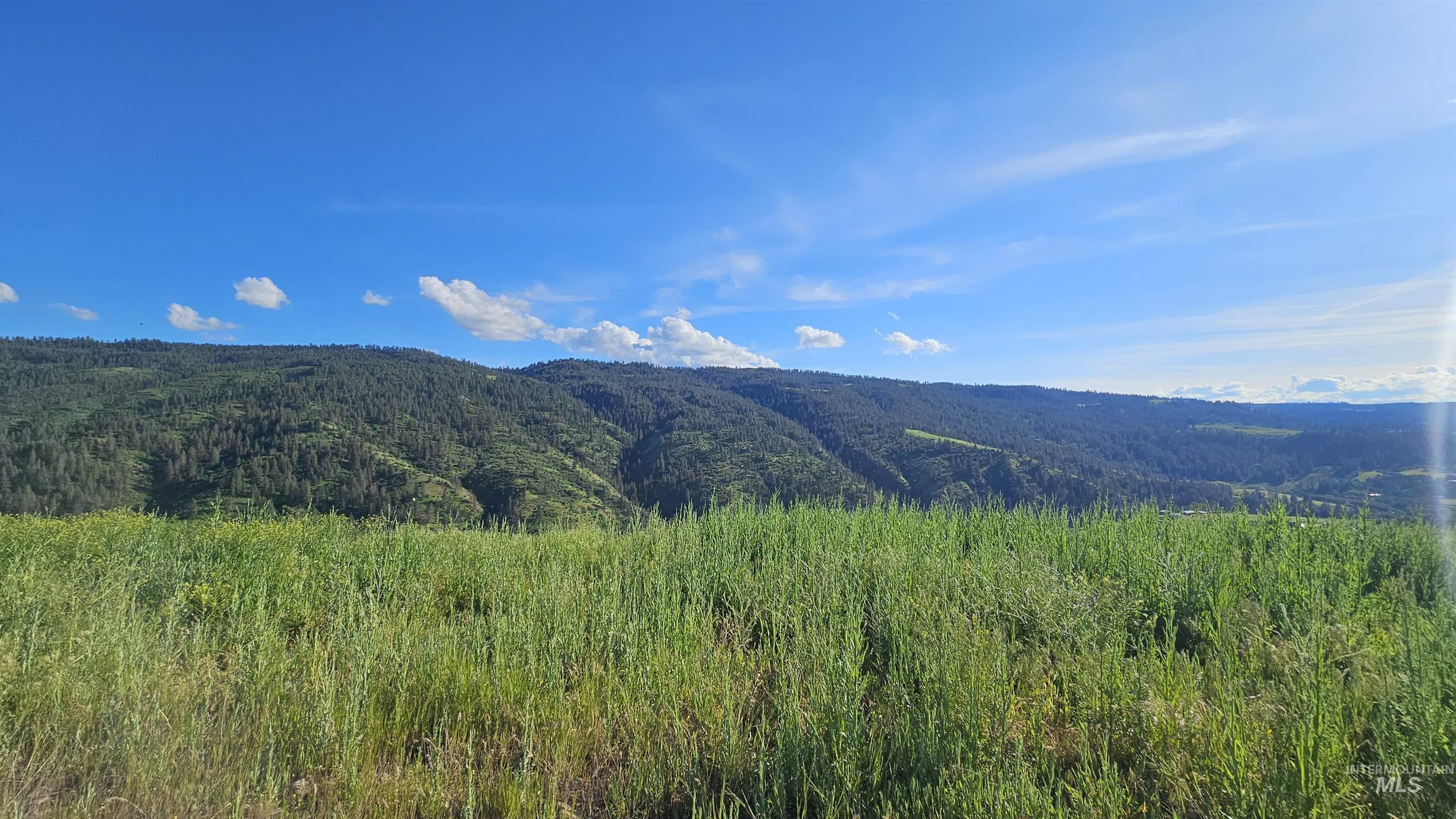 TBD Lot 5 Quiet Hills Ln, Lenore, Idaho 83541, Land For Sale, Price $290,000, 98987086