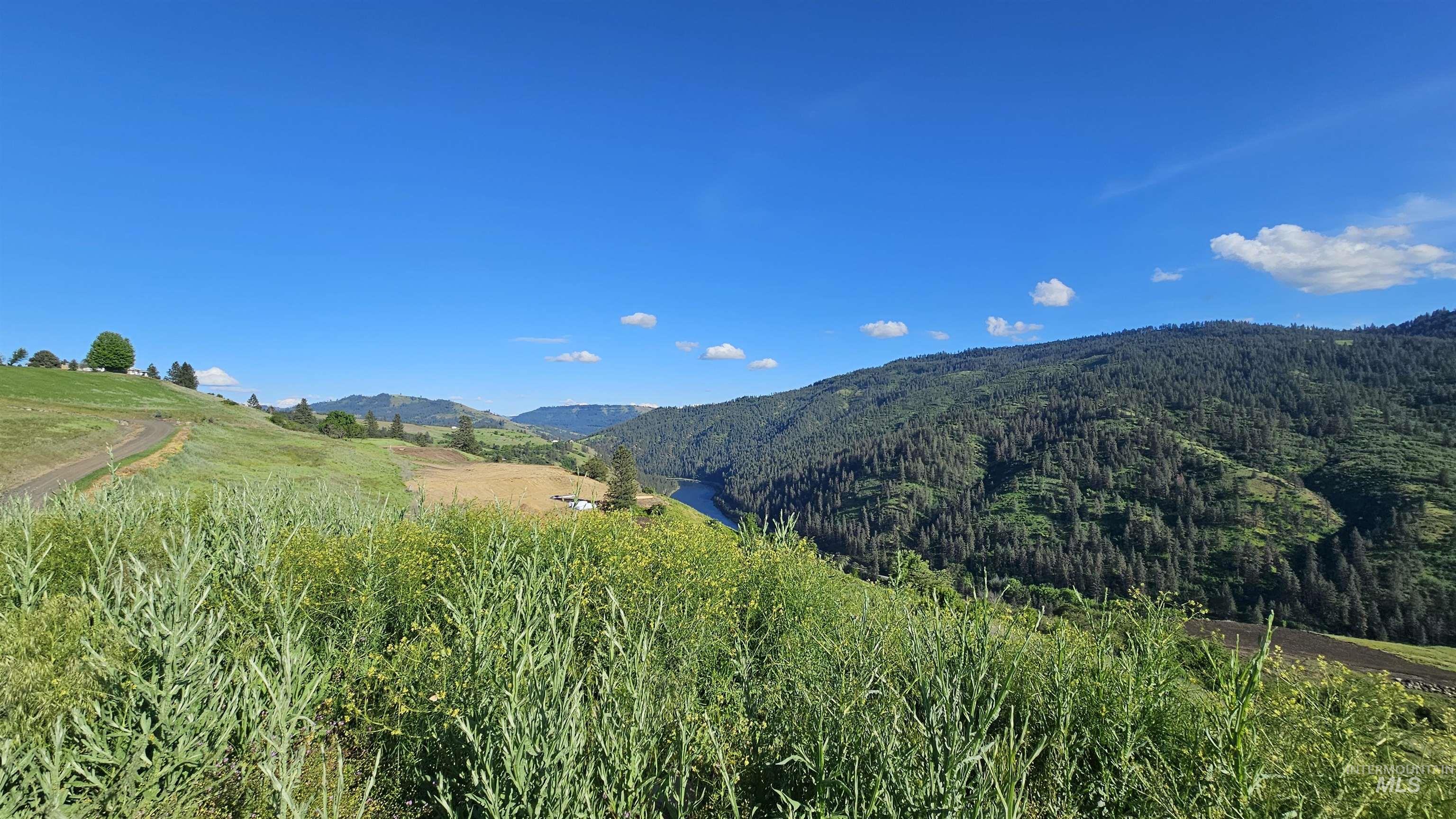 TBD Lot 5 Quiet Hills Ln, Lenore, Idaho 83541, Land For Sale, Price $290,000, 98987086