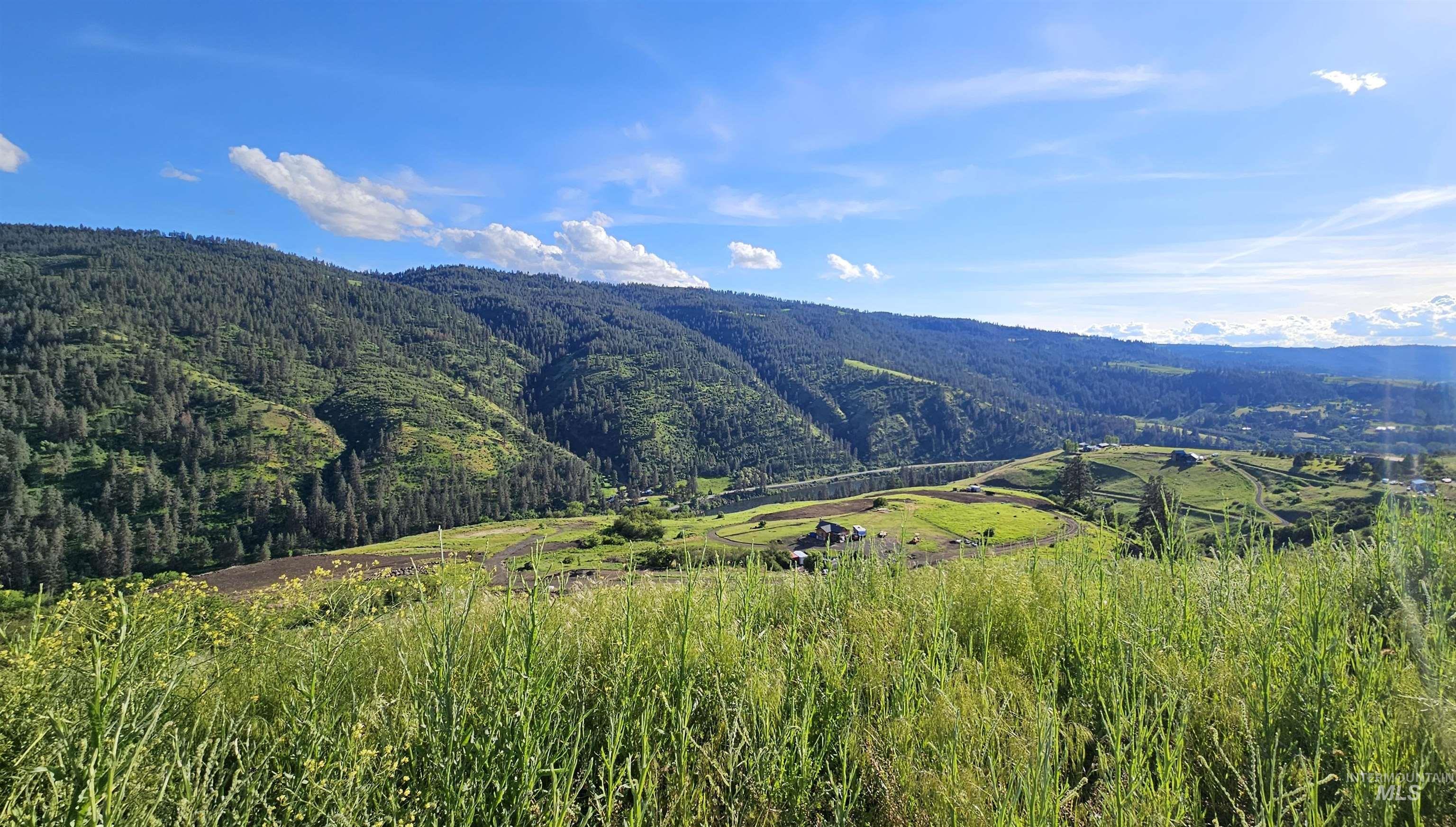 TBD Lot 5 Quiet Hills Ln, Lenore, Idaho 83541, Land For Sale, Price $290,000, 98987086