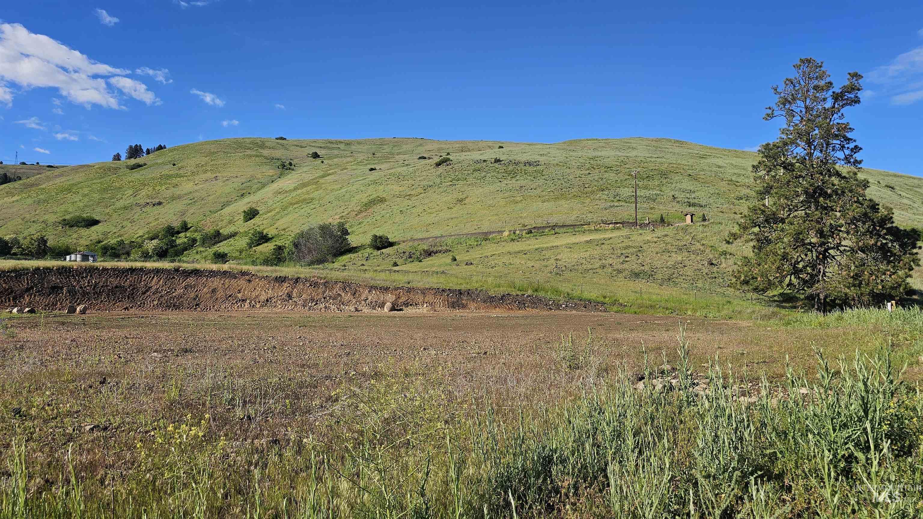 TBD Lot 5 Quiet Hills Ln, Lenore, Idaho 83541, Land For Sale, Price $290,000, 98987086